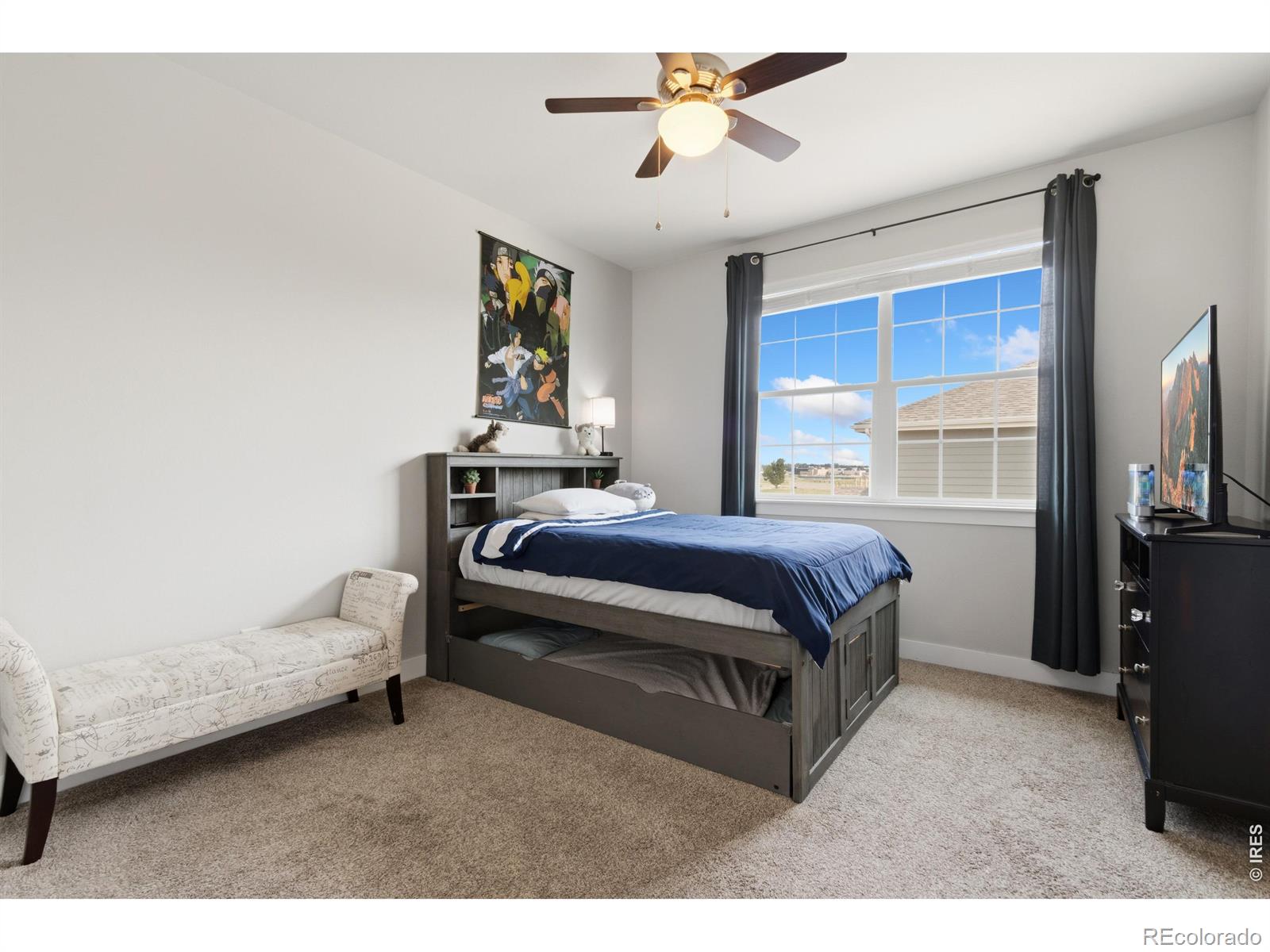 MLS Image #28 for 270  mt harvard avenue,severance, Colorado