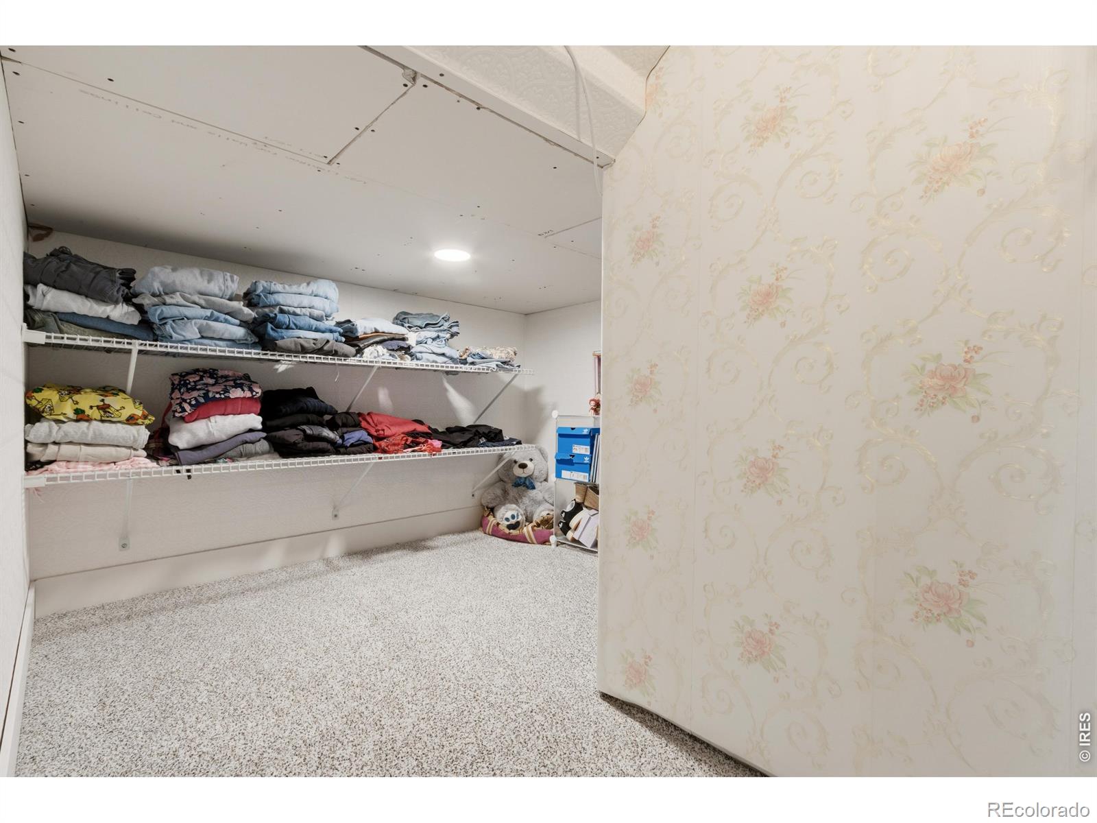 MLS Image #35 for 270  mt harvard avenue,severance, Colorado