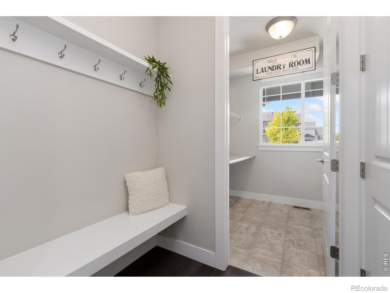 MLS Image #9 for 270  mt harvard avenue,severance, Colorado
