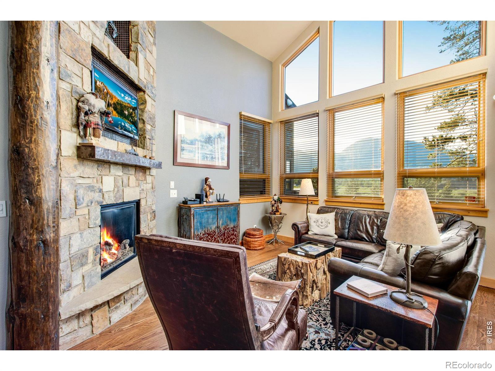 MLS Image #24 for 490  hammerstone lane,frisco, Colorado