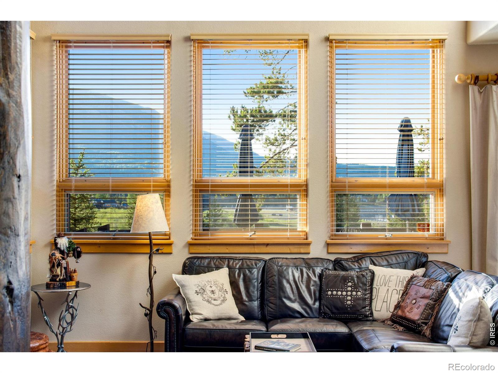 MLS Image #25 for 490  hammerstone lane,frisco, Colorado