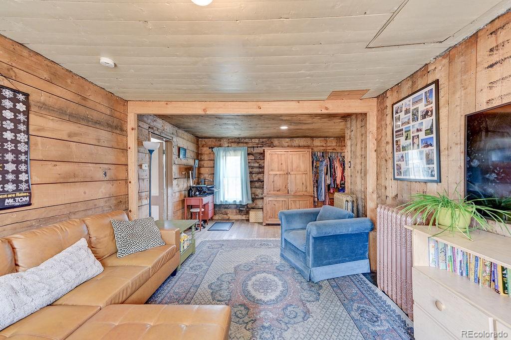MLS Image #20 for 520  chestnut street,leadville, Colorado