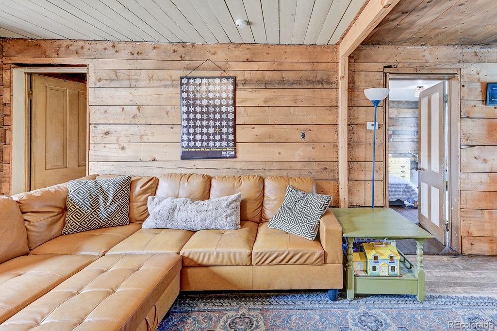 MLS Image #24 for 520  chestnut street,leadville, Colorado
