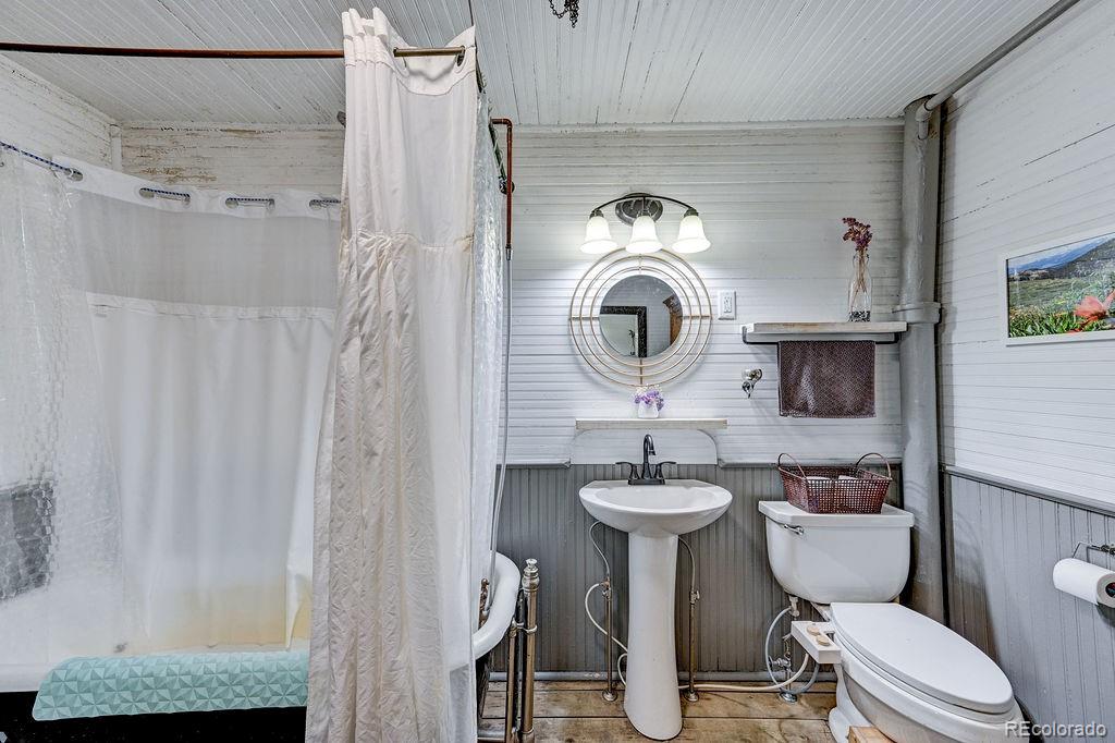 MLS Image #38 for 520  chestnut street,leadville, Colorado