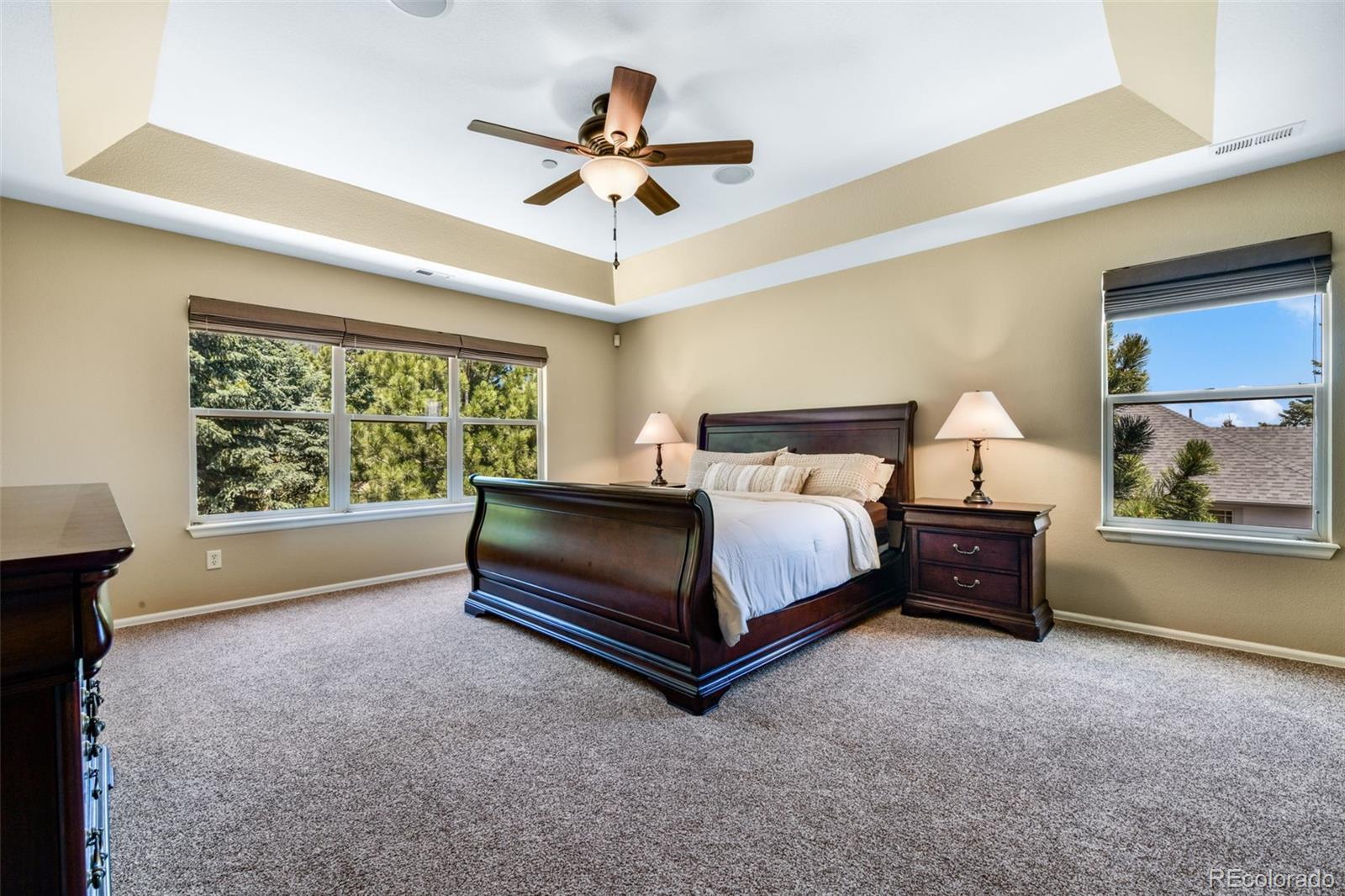 MLS Image #19 for 470  paisley drive,colorado springs, Colorado