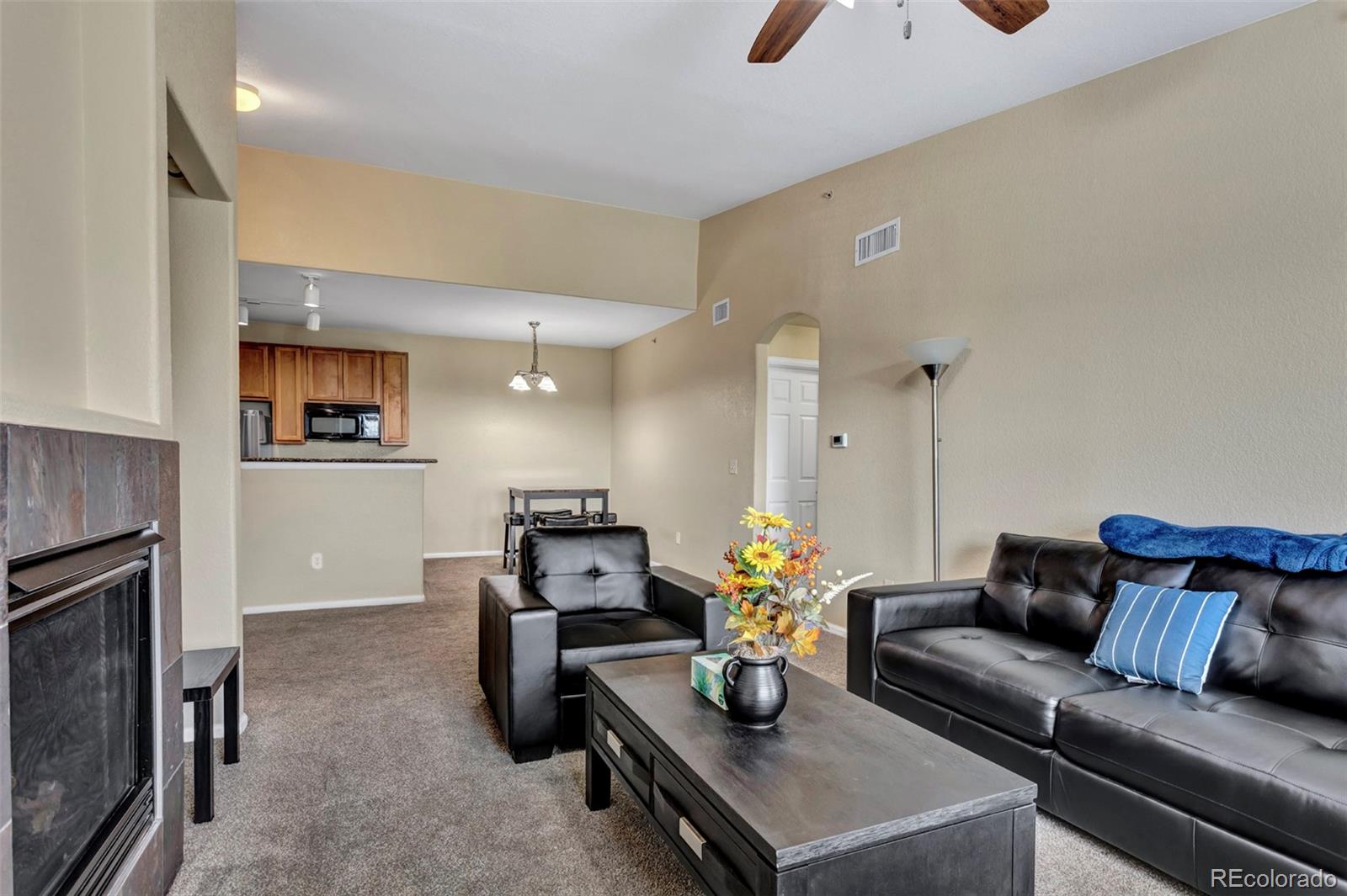 MLS Image #3 for 2745  blue sky circle,erie, Colorado