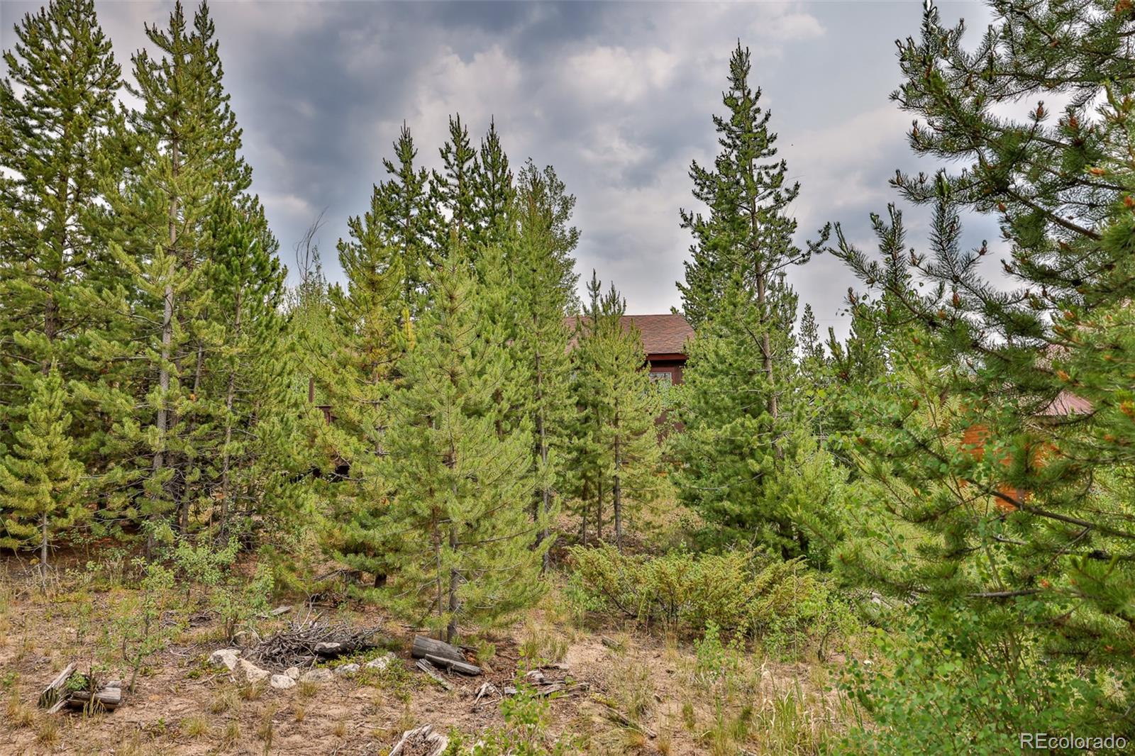 MLS Image #21 for 1239  western road,grand lake, Colorado