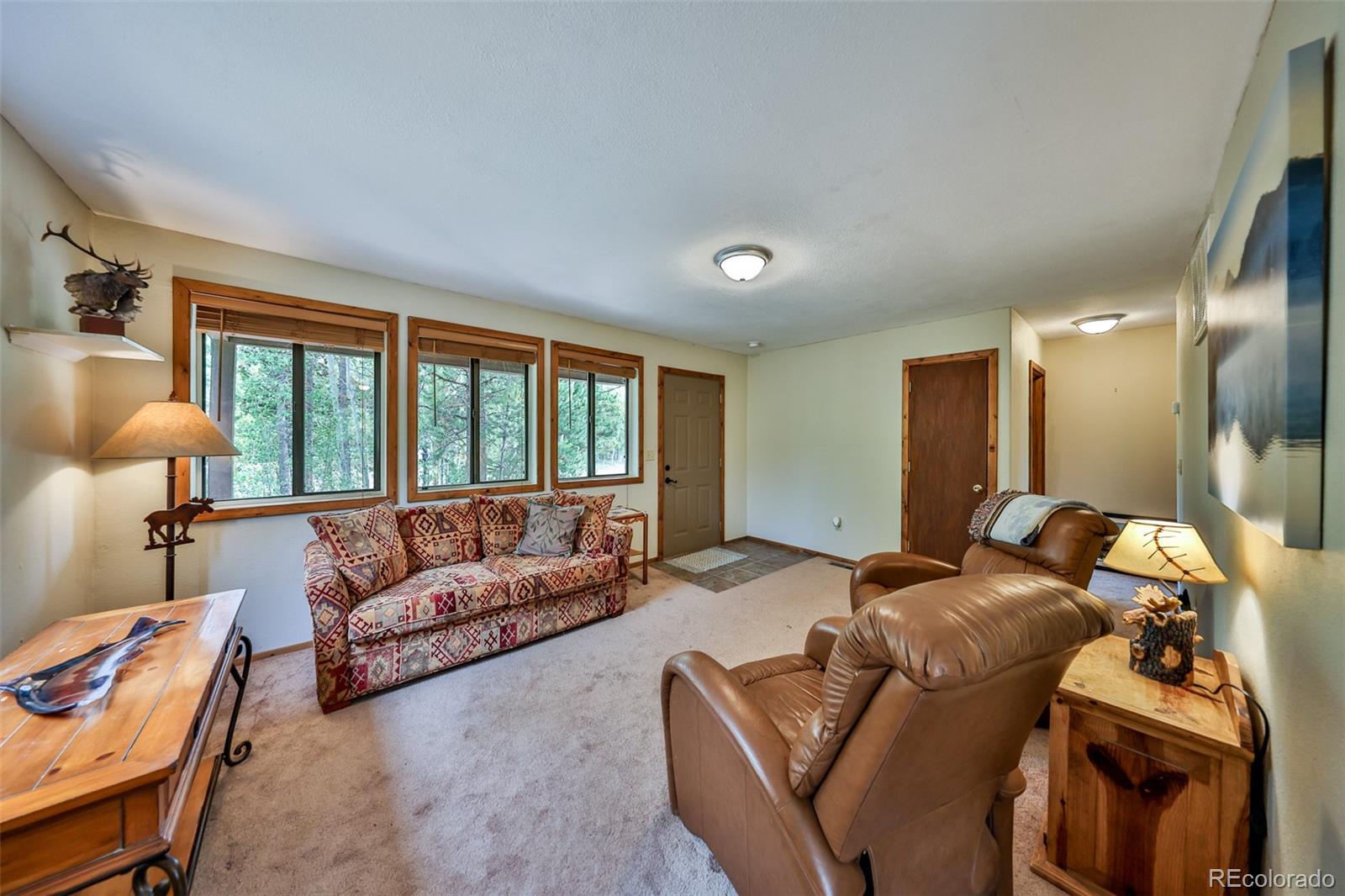 MLS Image #4 for 1239  western road,grand lake, Colorado