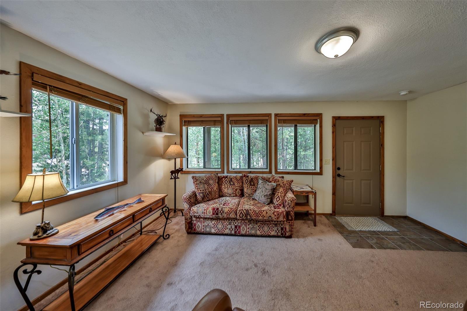 MLS Image #5 for 1239  western road,grand lake, Colorado