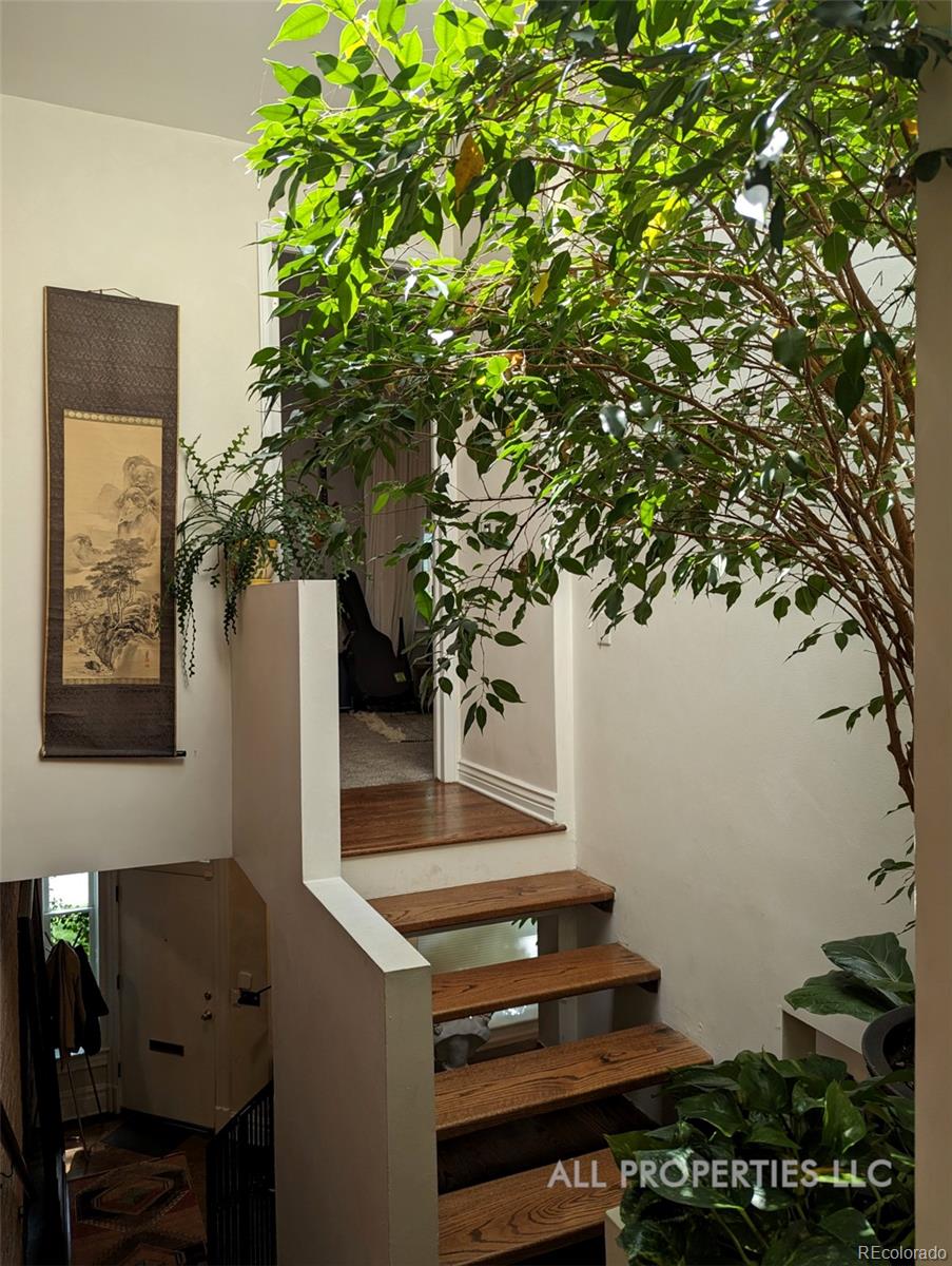 MLS Image #22 for 2753  champa street ,denver, Colorado