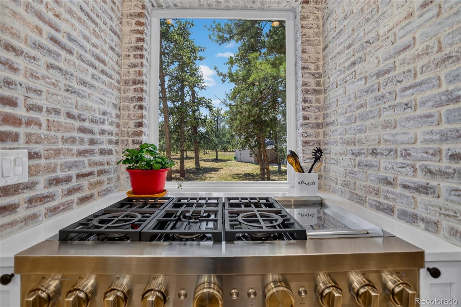 MLS Image #9 for 19404  hilltop pines path,monument, Colorado