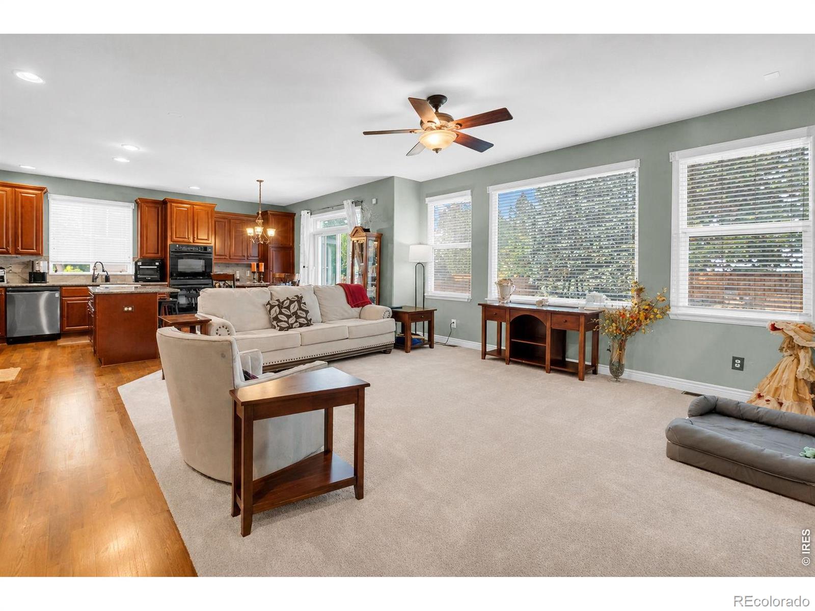MLS Image #6 for 22  saxony road,johnstown, Colorado