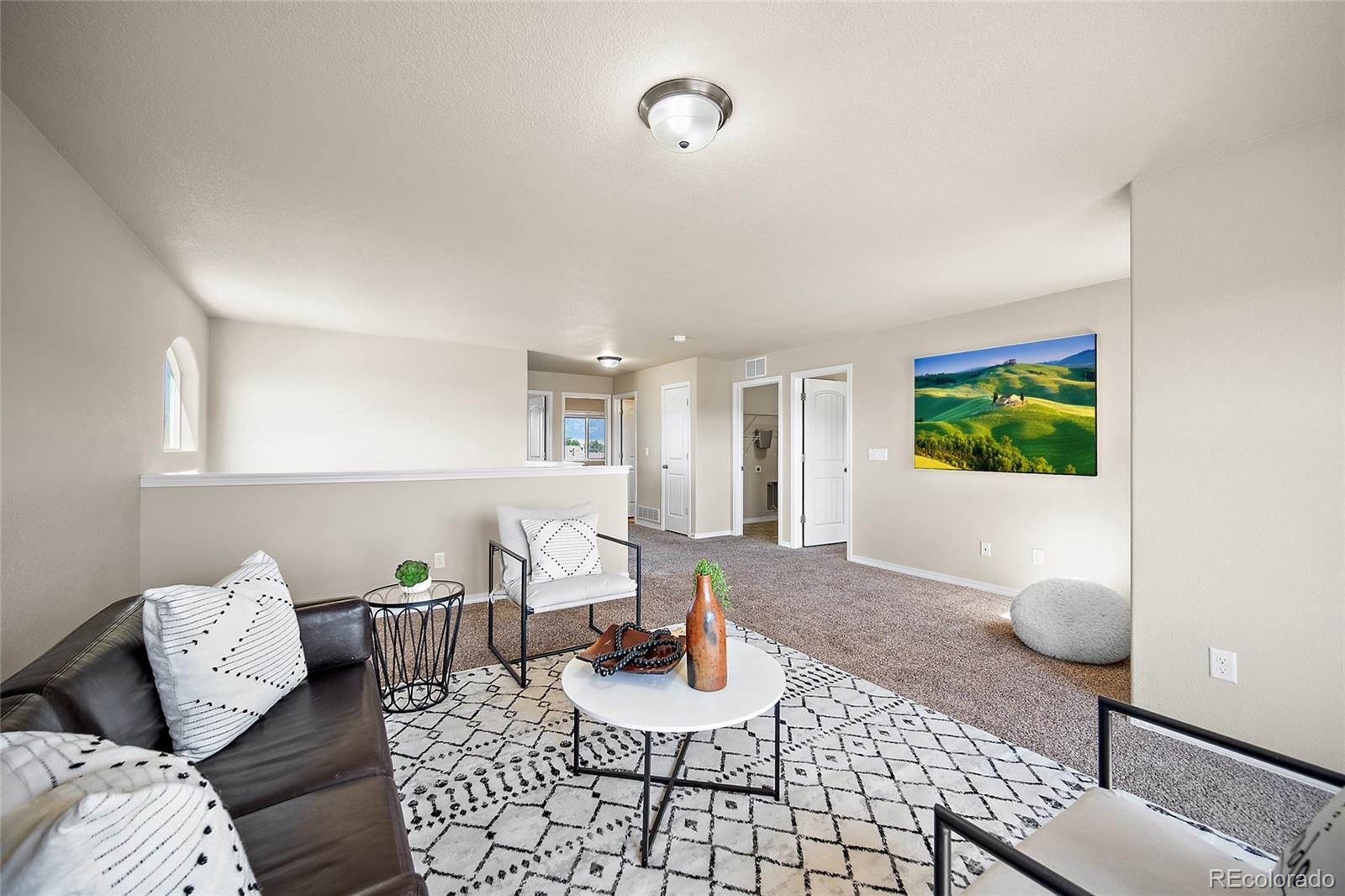 MLS Image #16 for 10654  delaney lane,fountain, Colorado