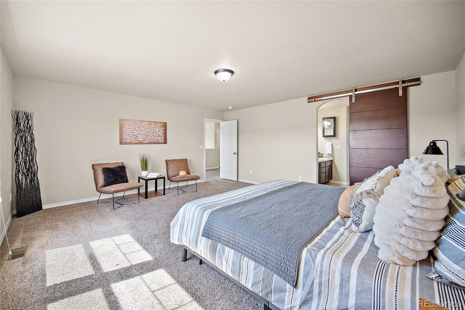 MLS Image #18 for 10654  delaney lane,fountain, Colorado