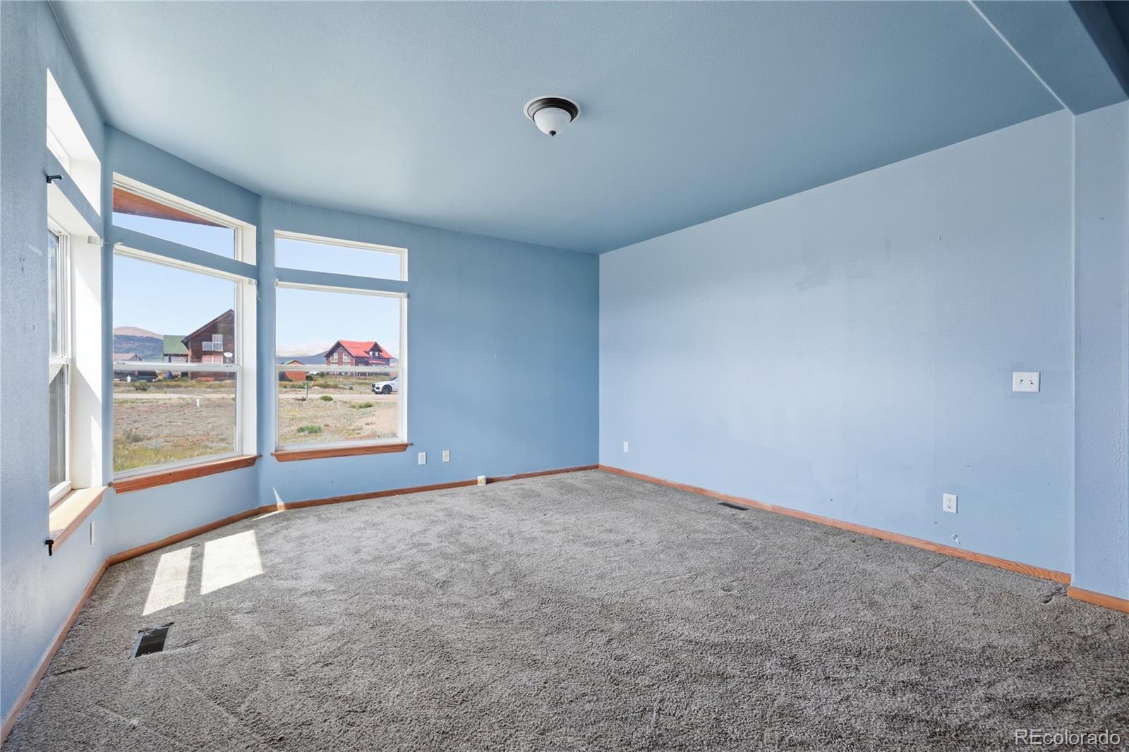 MLS Image #12 for 1309  meadow drive,fairplay, Colorado