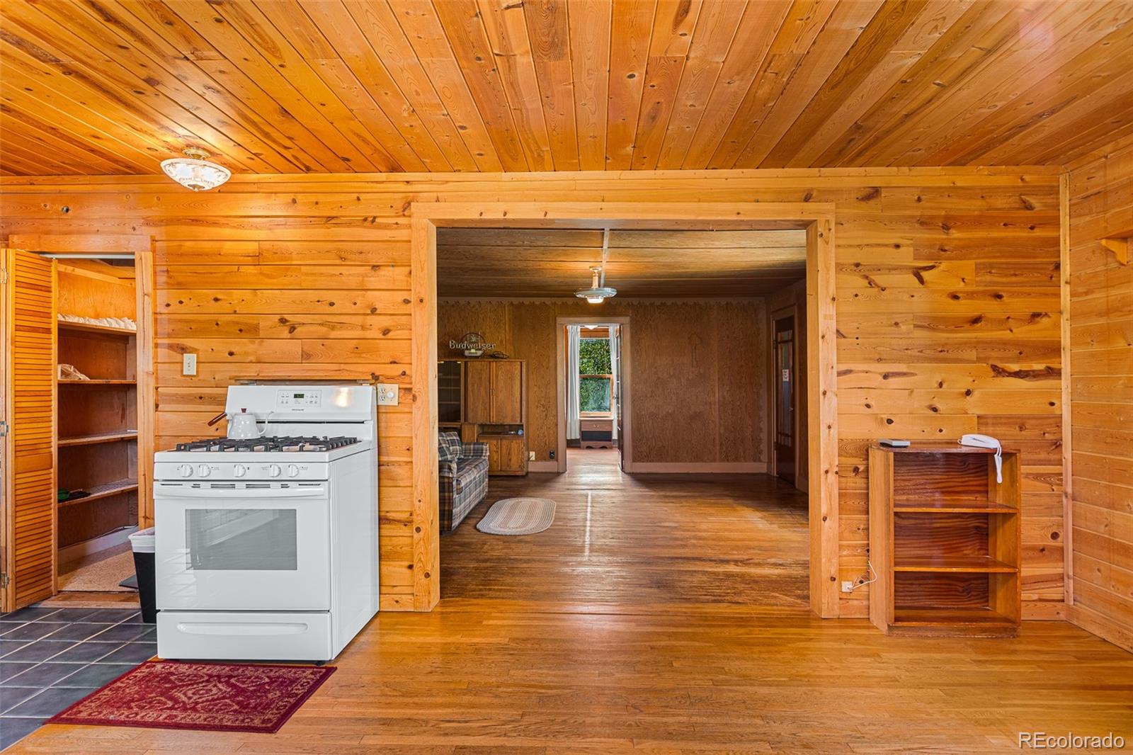 MLS Image #10 for 135 s main street,alma, Colorado
