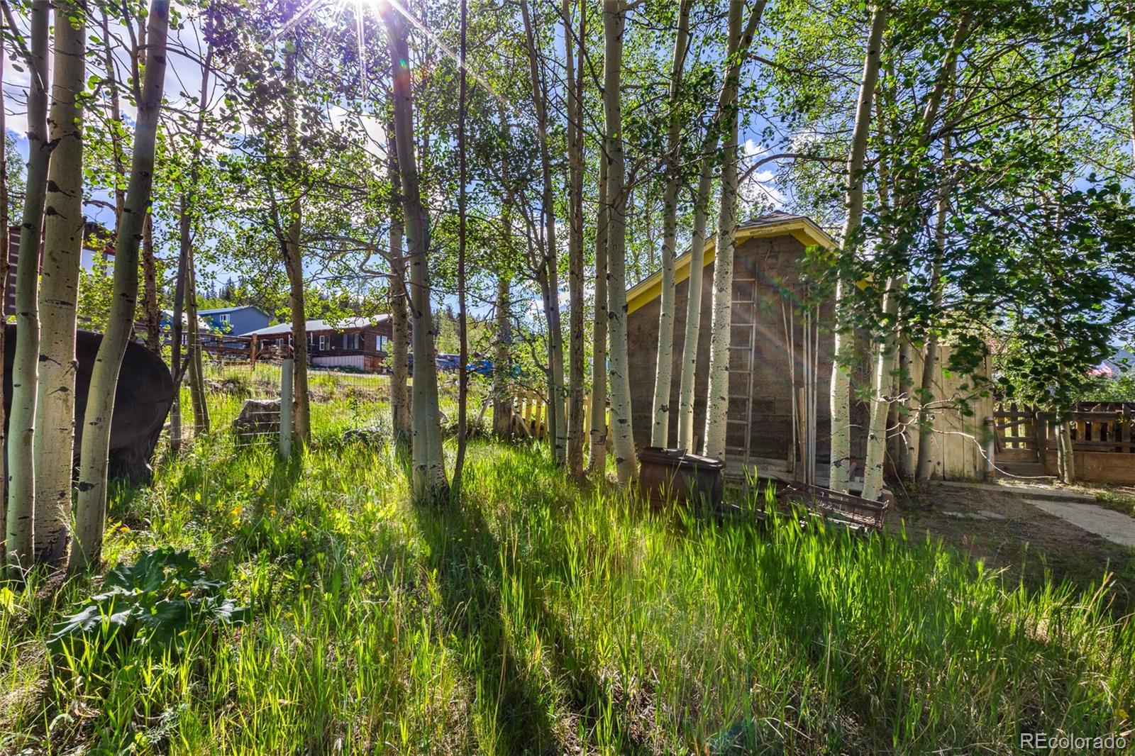 MLS Image #27 for 135 s main street,alma, Colorado