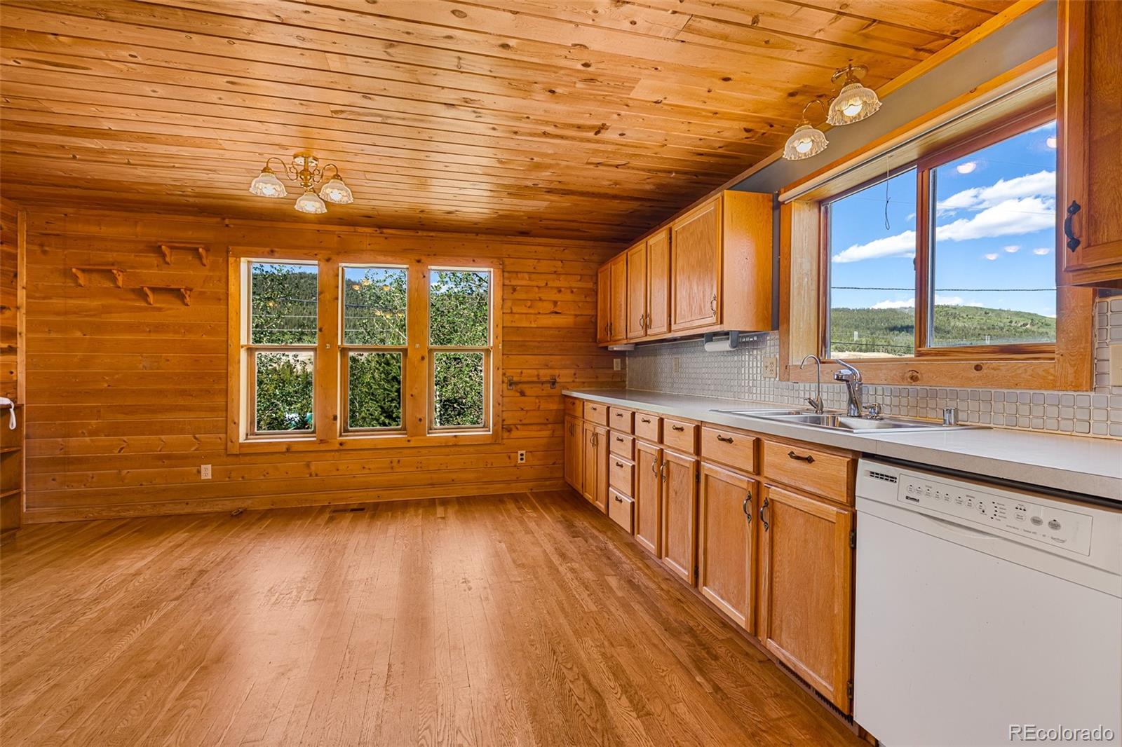 MLS Image #8 for 135 s main street,alma, Colorado