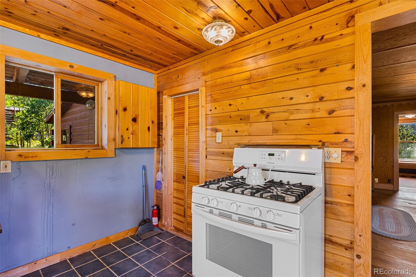 MLS Image #9 for 135 s main street,alma, Colorado