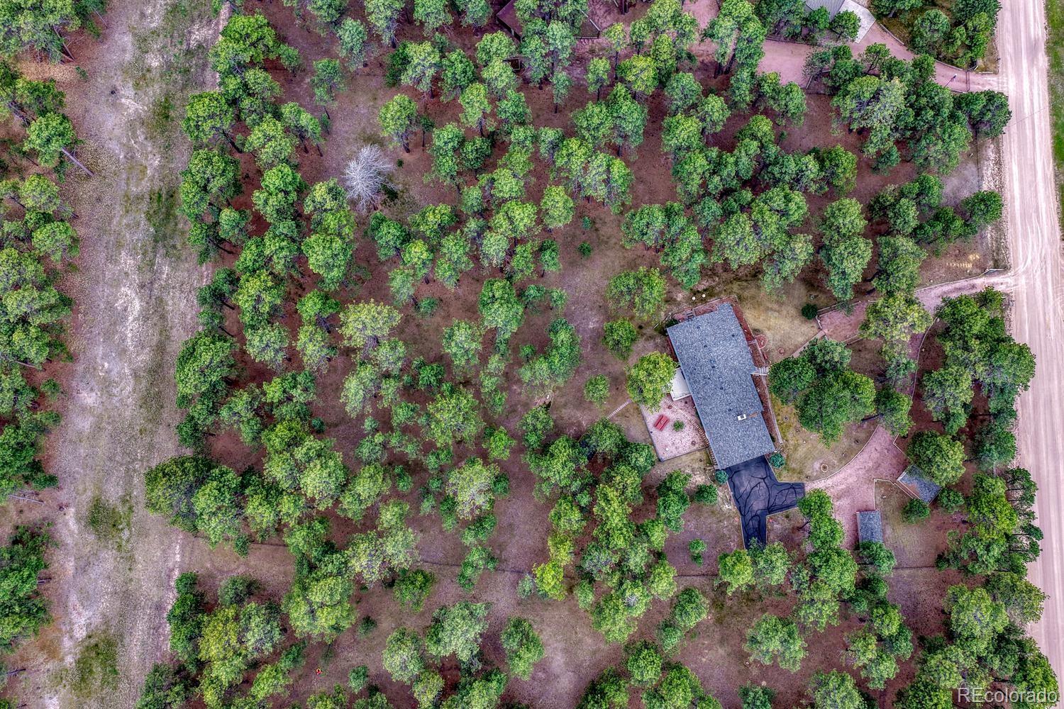 MLS Image #1 for 14225  ponderosa road,colorado springs, Colorado