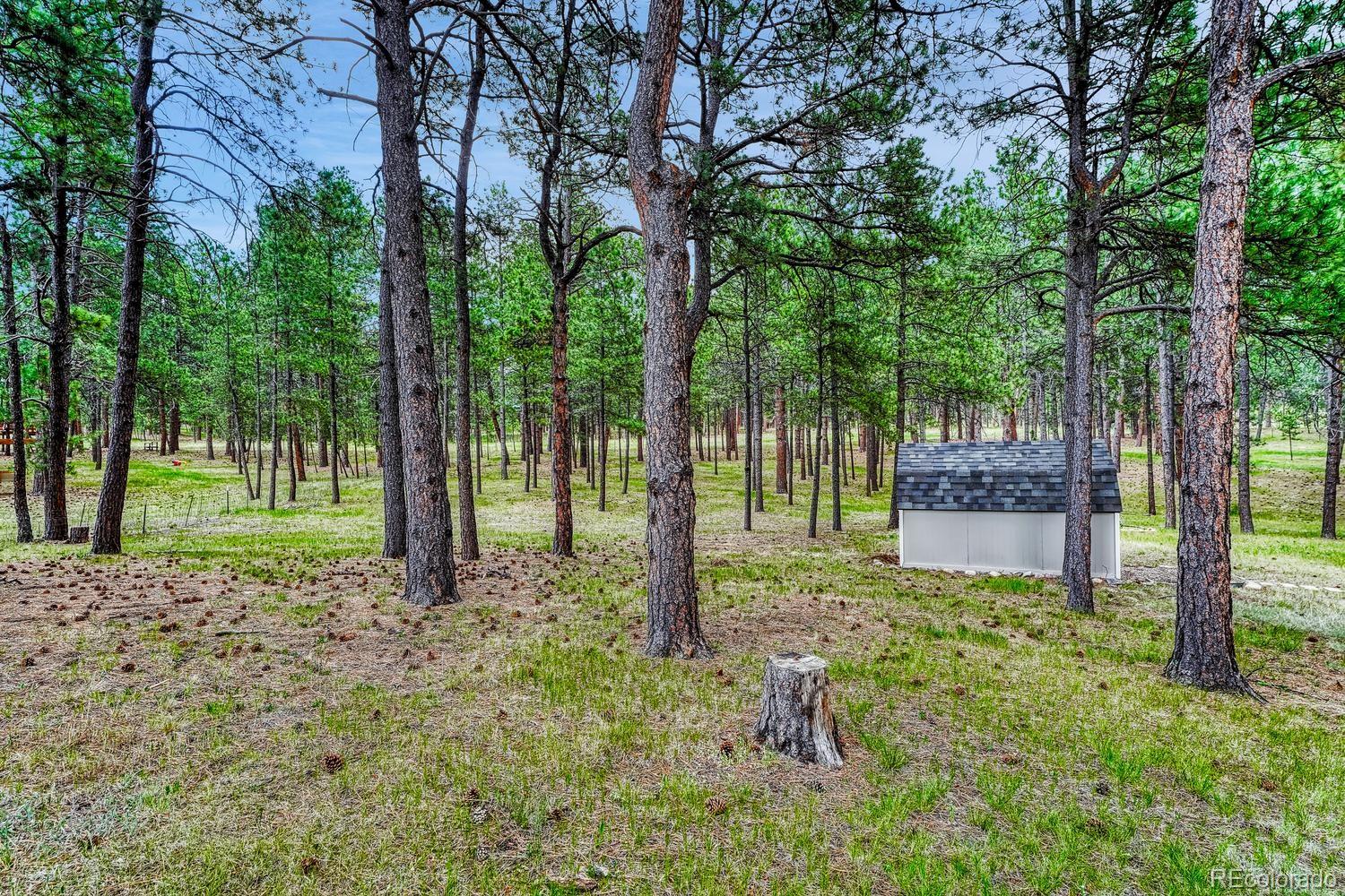MLS Image #16 for 14225  ponderosa road,colorado springs, Colorado