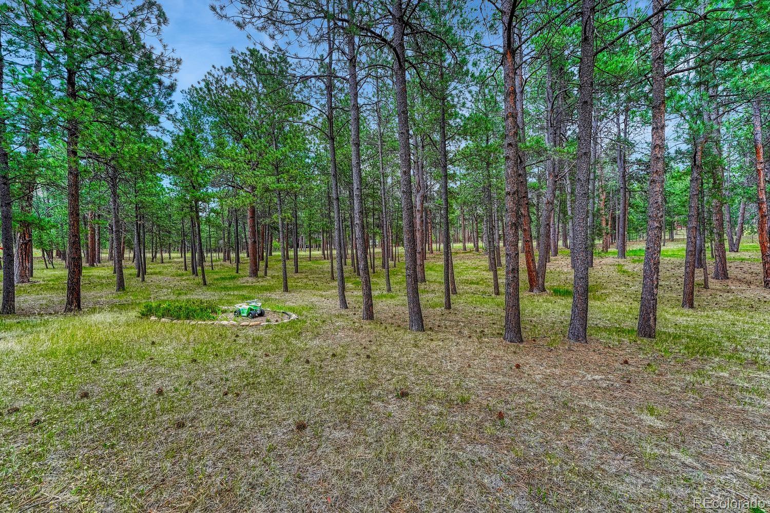 MLS Image #18 for 14225  ponderosa road,colorado springs, Colorado