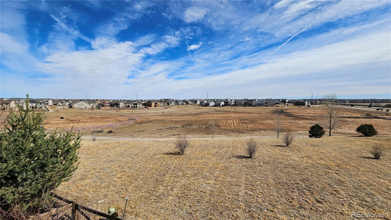 MLS Image #2 for 6567  cottonwood tree drive,colorado springs, Colorado