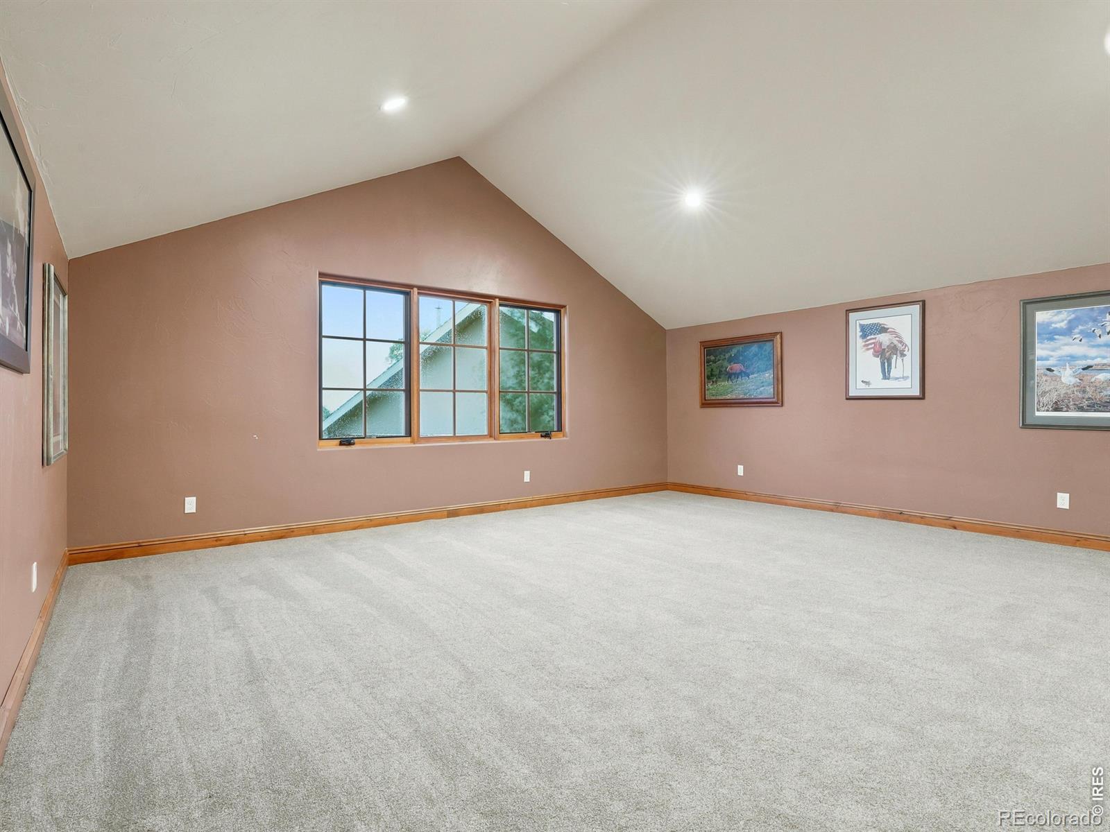 MLS Image #38 for 37156  dickerson run,severance, Colorado