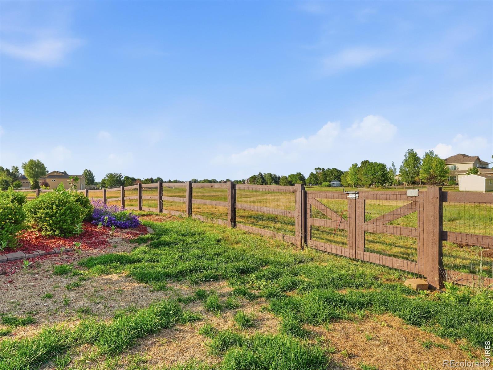 MLS Image #44 for 37156  dickerson run,severance, Colorado