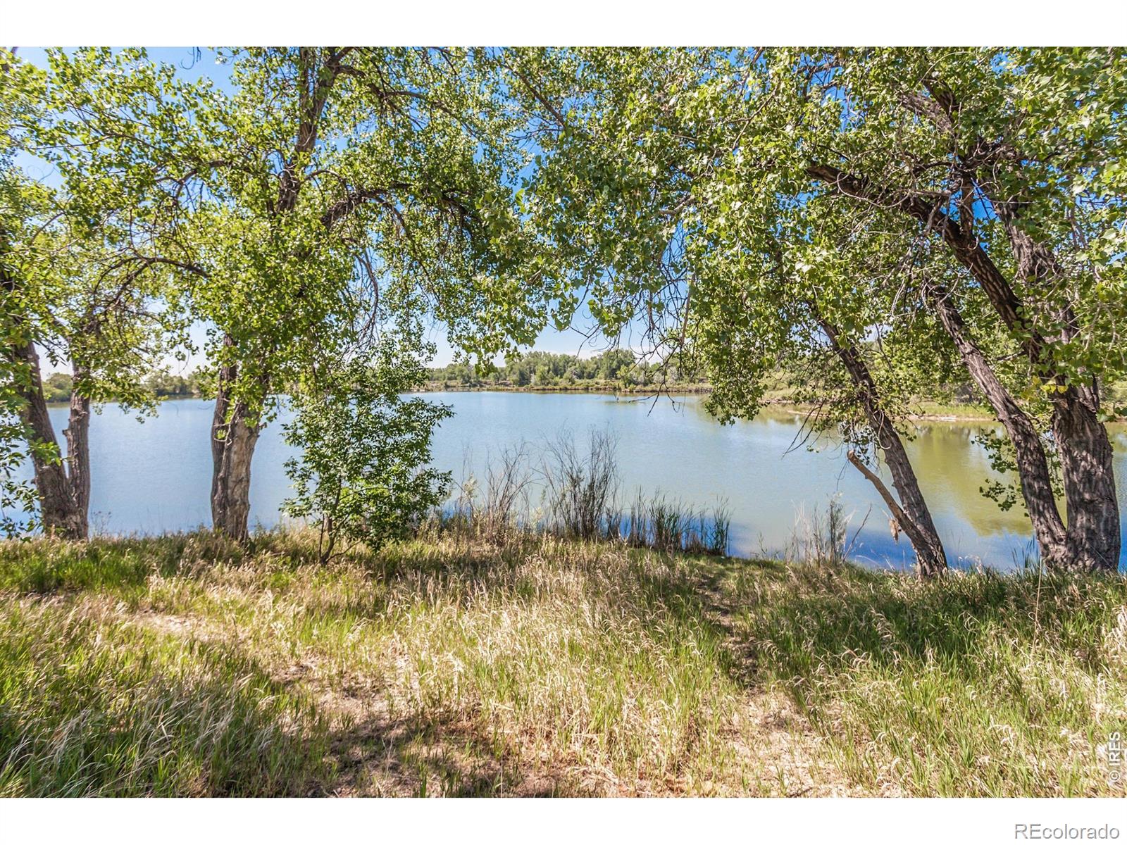 MLS Image #39 for 609  eric street,fort collins, Colorado