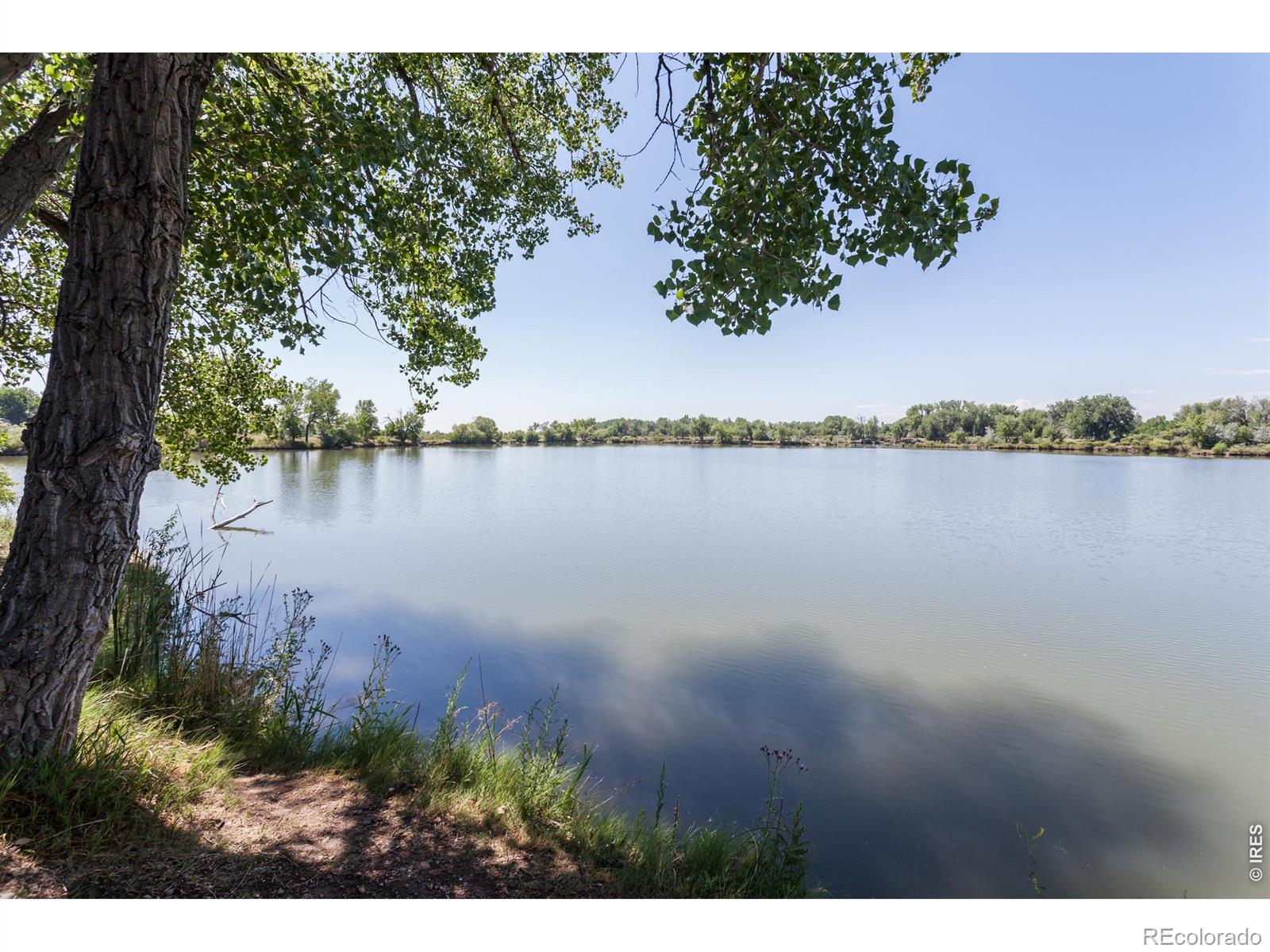 MLS Image #43 for 609  eric street,fort collins, Colorado