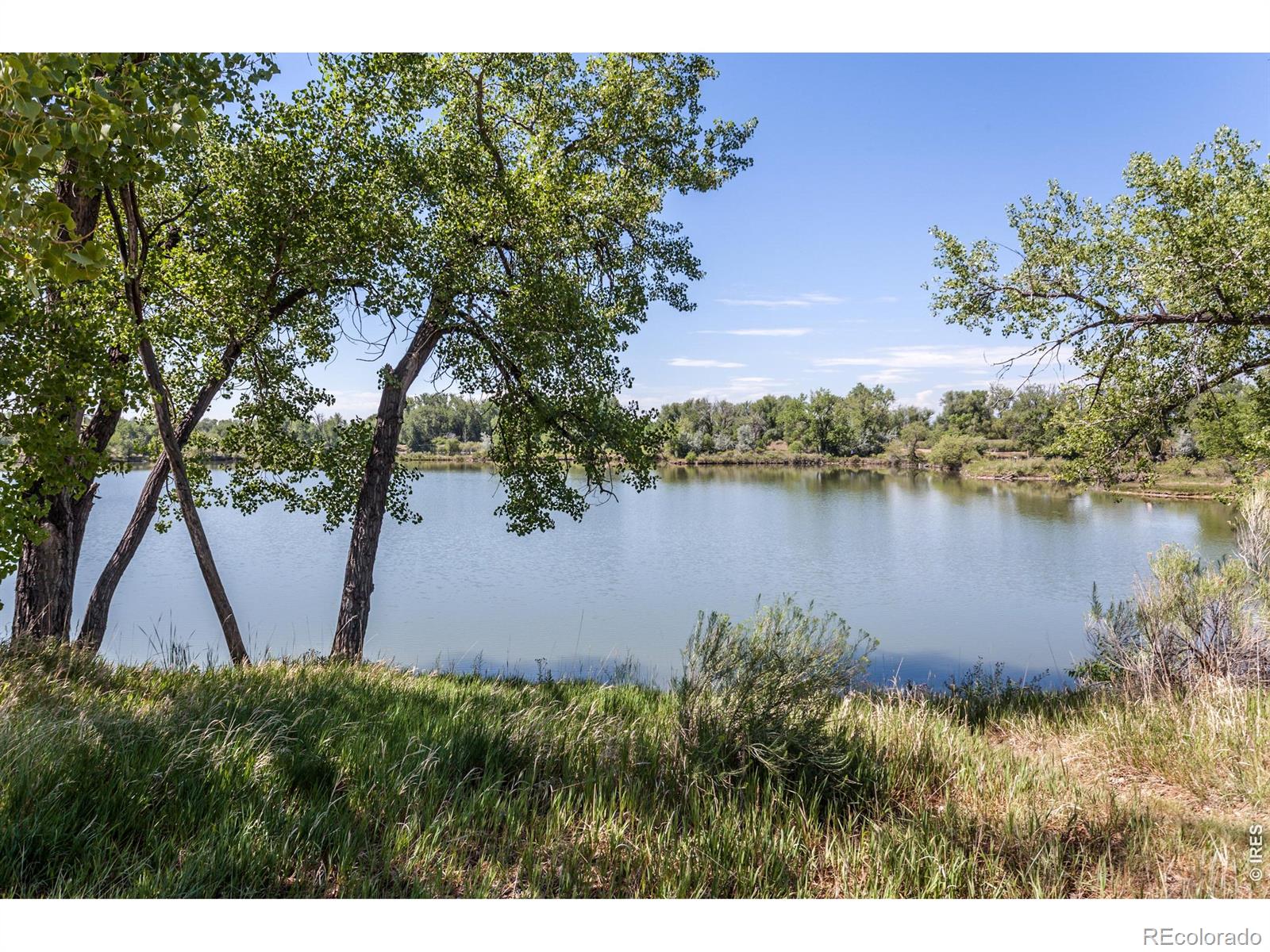 MLS Image #44 for 609  eric street,fort collins, Colorado