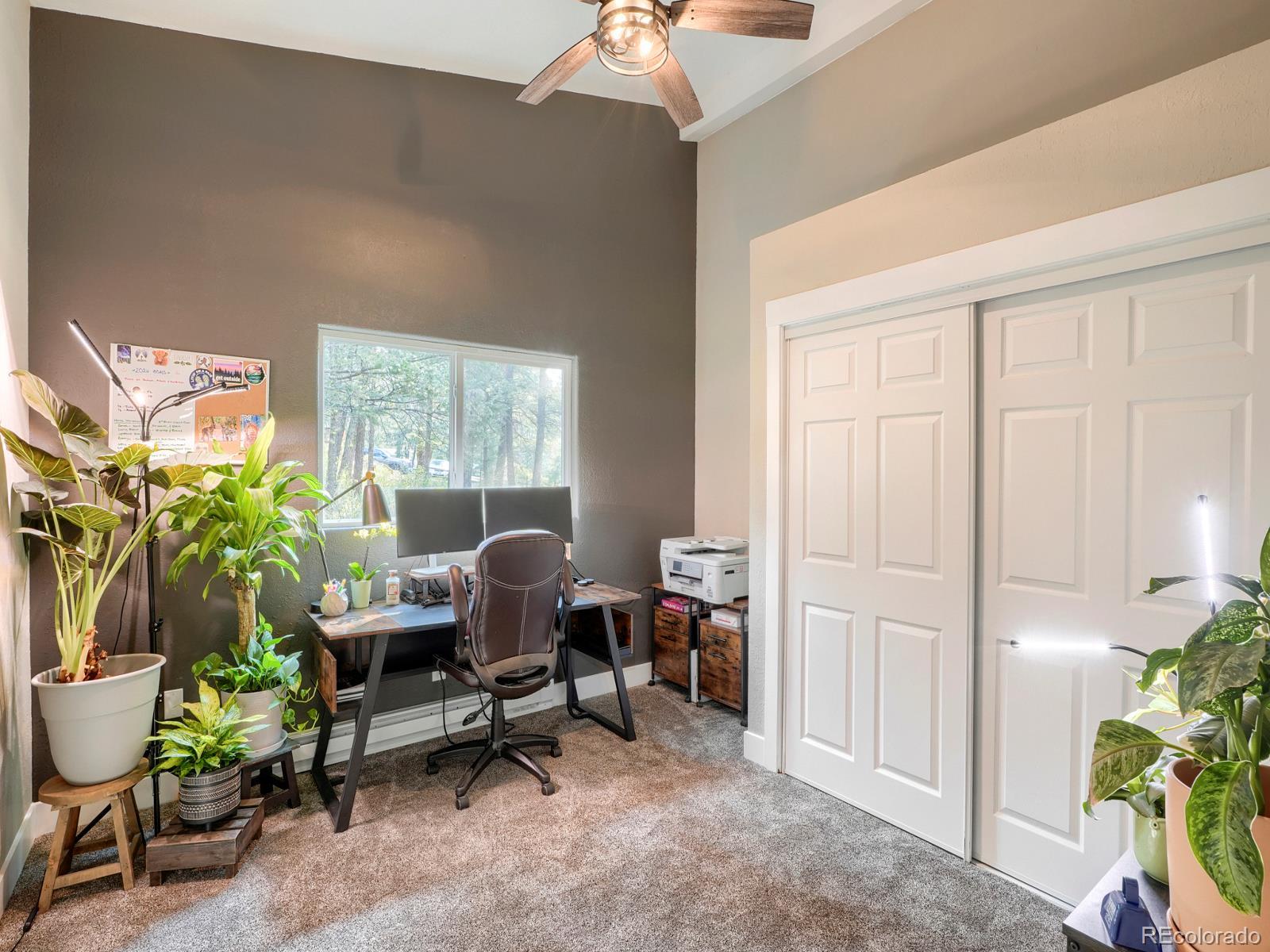 MLS Image #33 for 31289  florence road,conifer, Colorado