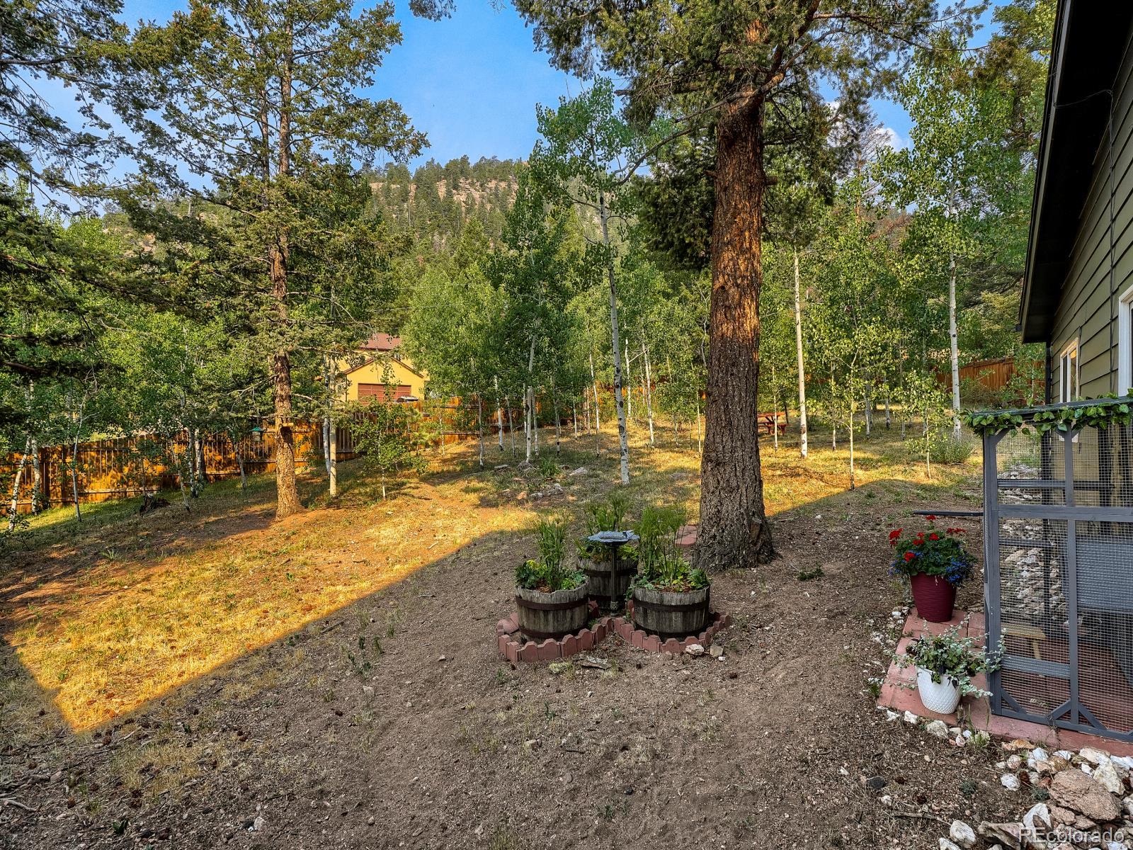 MLS Image #37 for 31289  florence road,conifer, Colorado