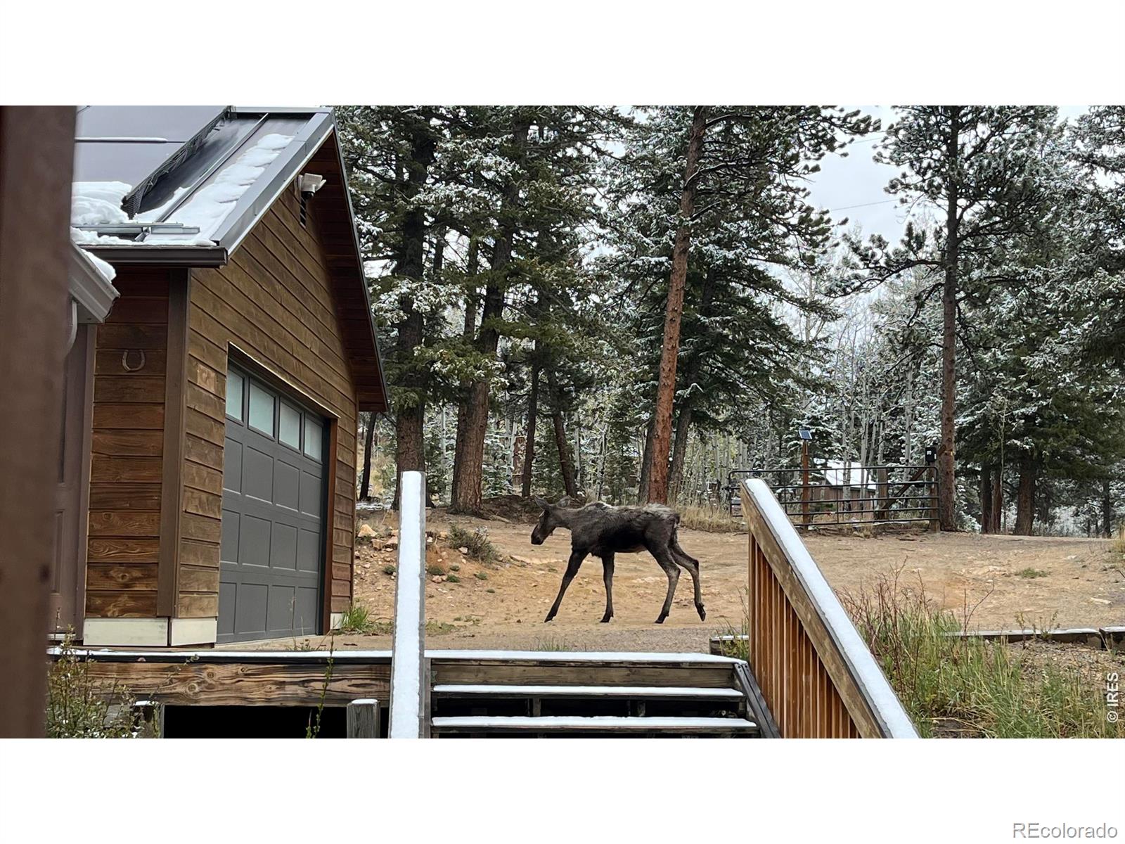 MLS Image #37 for 200  rocky knob lane,nederland, Colorado