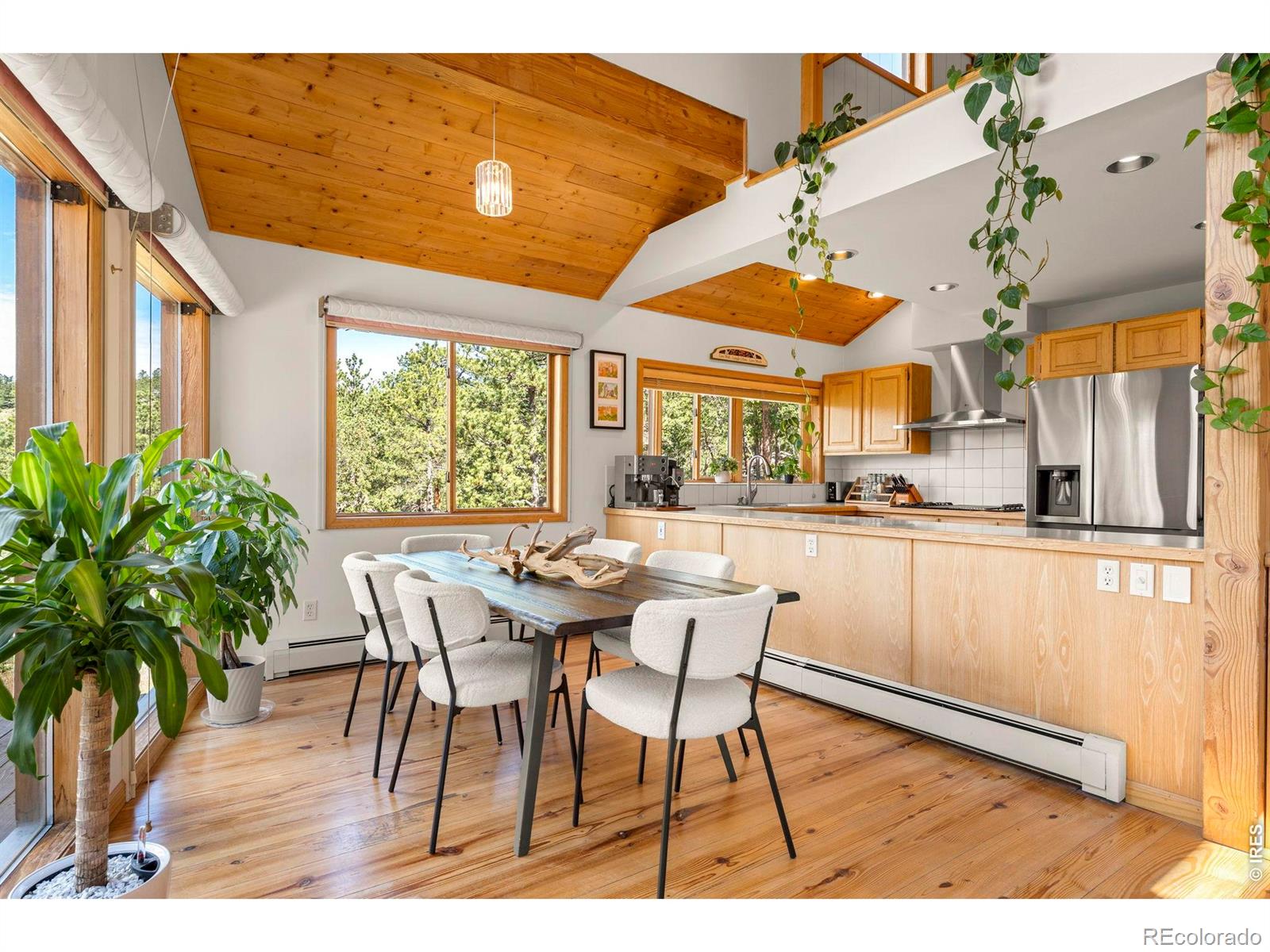 MLS Image #7 for 200  rocky knob lane,nederland, Colorado