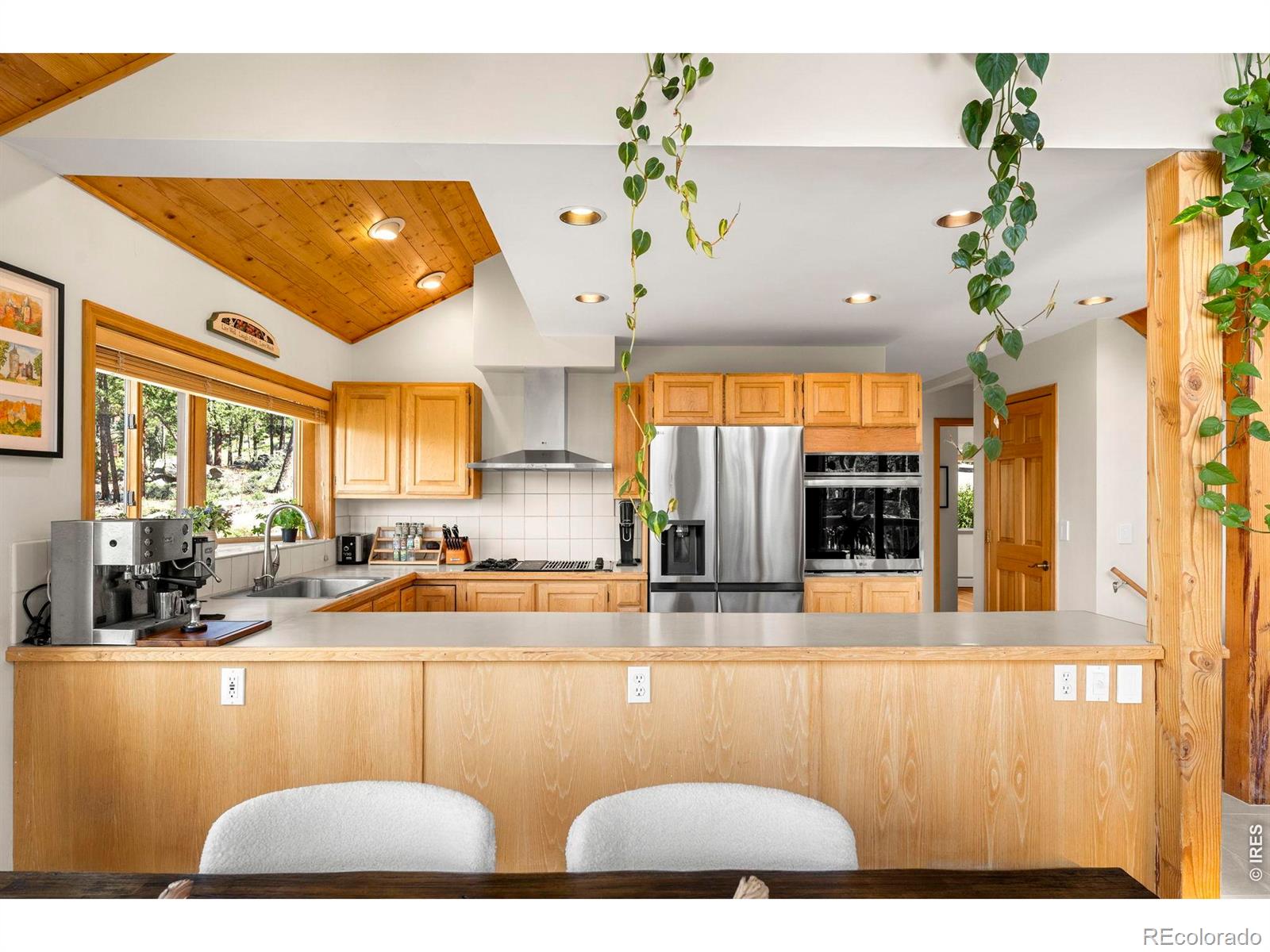 MLS Image #8 for 200  rocky knob lane,nederland, Colorado