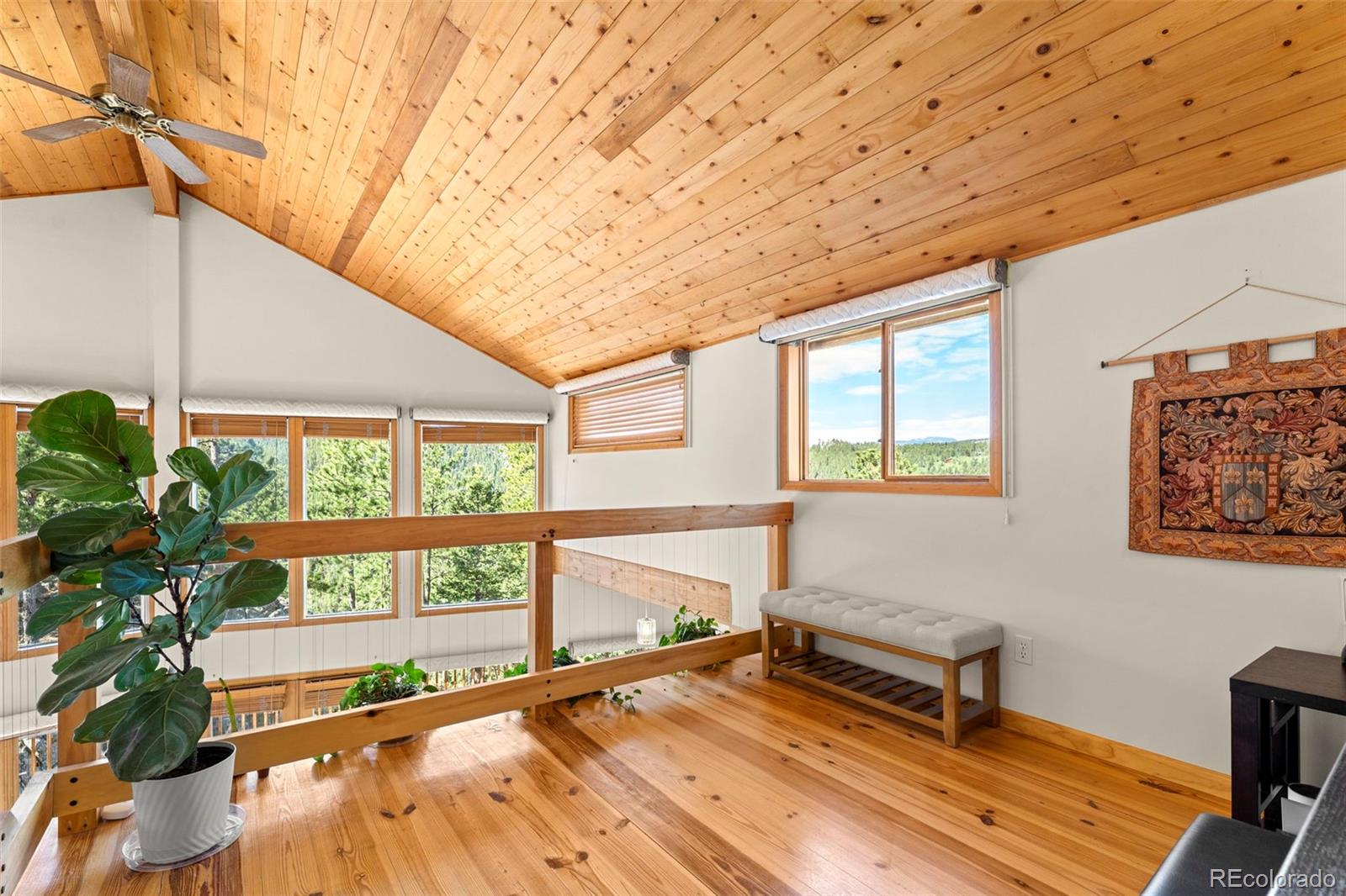 MLS Image #14 for 200  rocky knob lane,nederland, Colorado