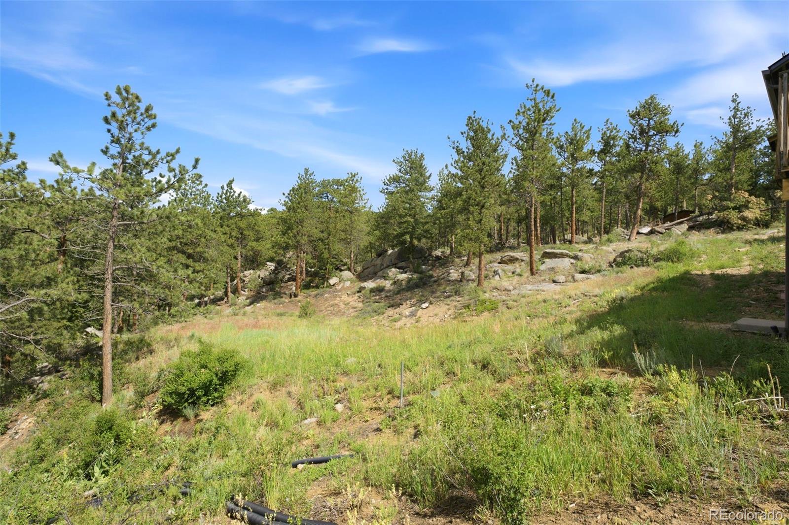 MLS Image #32 for 200  rocky knob lane,nederland, Colorado