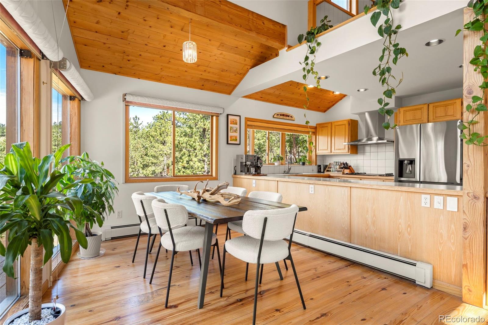 MLS Image #6 for 200  rocky knob lane,nederland, Colorado