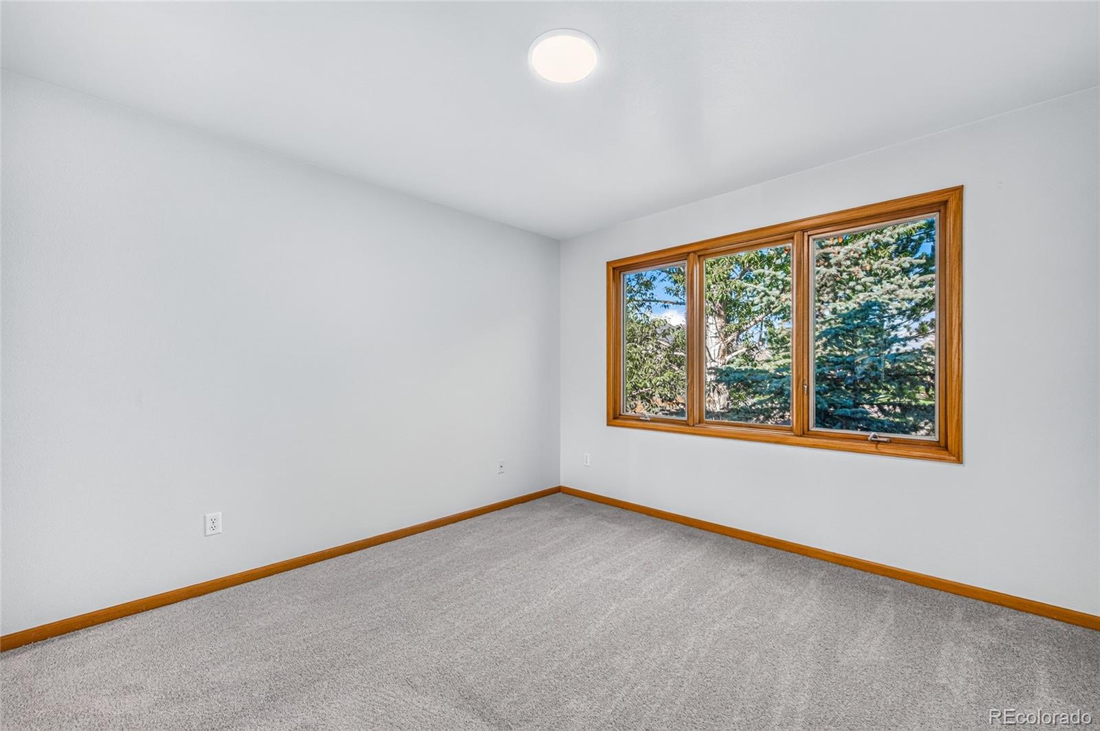 MLS Image #17 for 1550  raven circle,estes park, Colorado