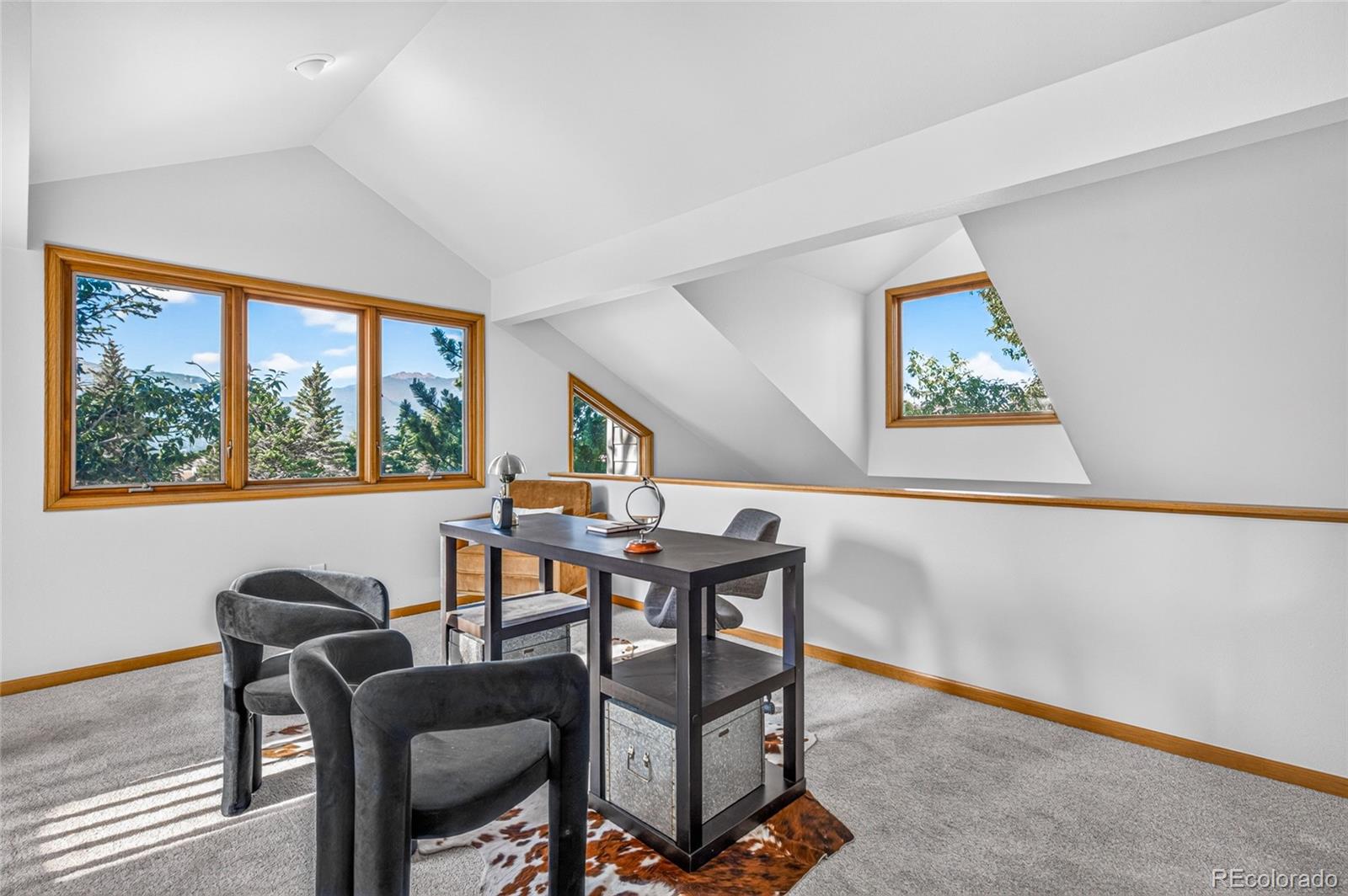 MLS Image #8 for 1550  raven circle,estes park, Colorado