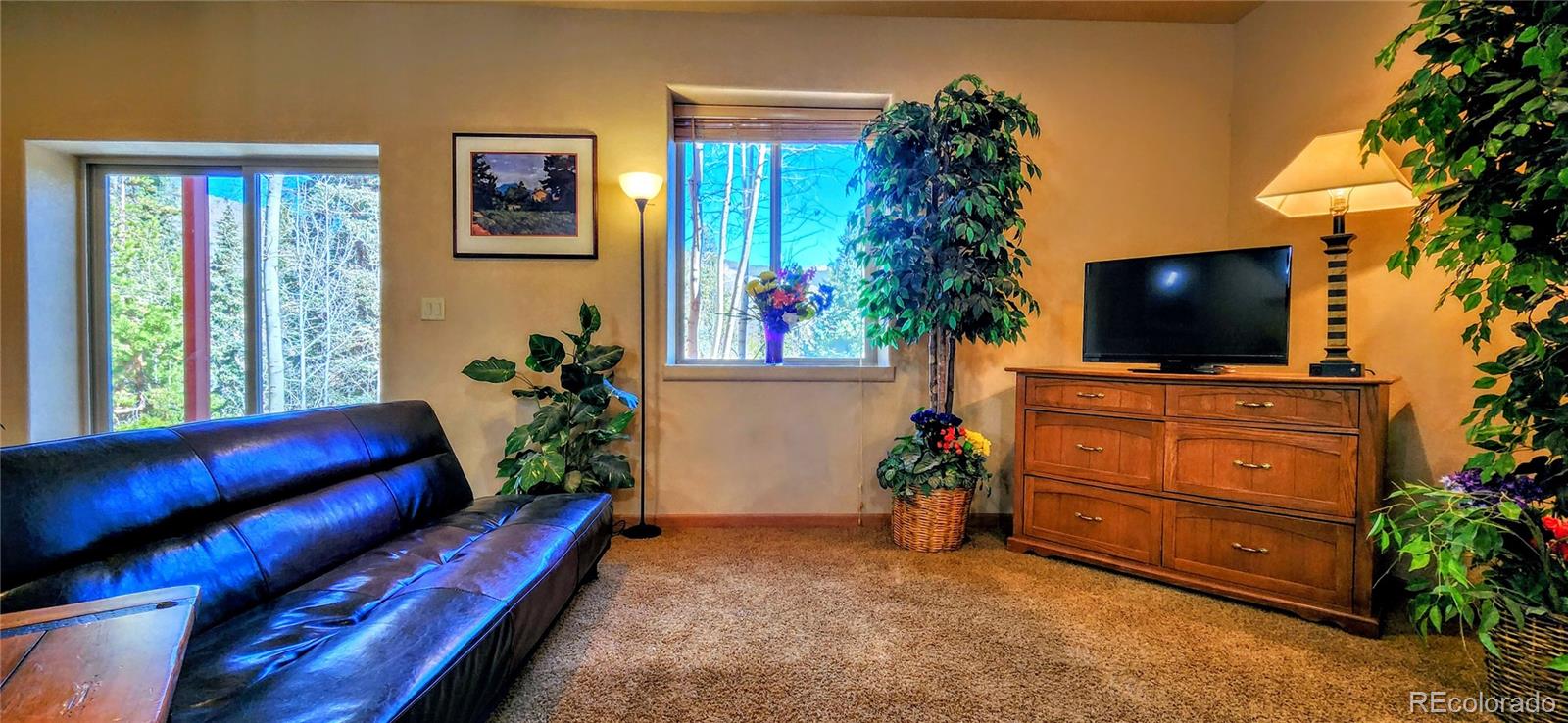 MLS Image #22 for 562  piney acres circle,dillon, Colorado