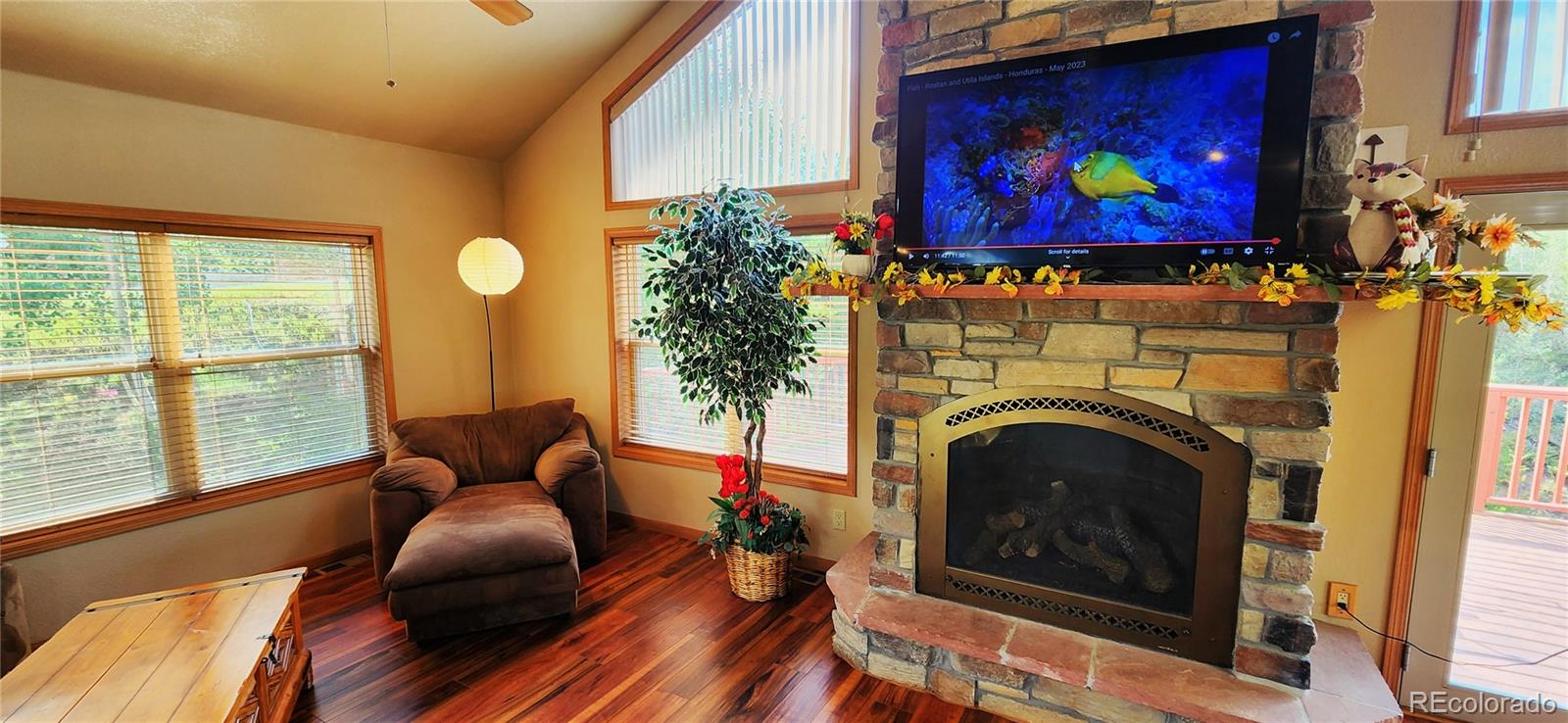 MLS Image #5 for 562  piney acres circle,dillon, Colorado