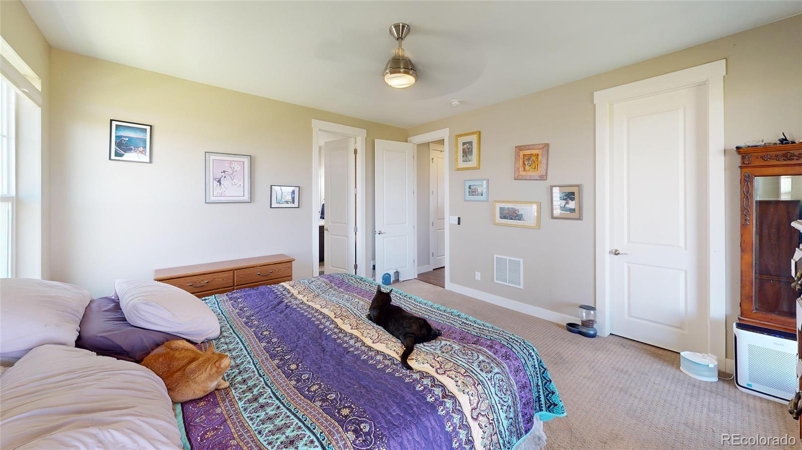 MLS Image #8 for 3403  linden circle,dacono, Colorado