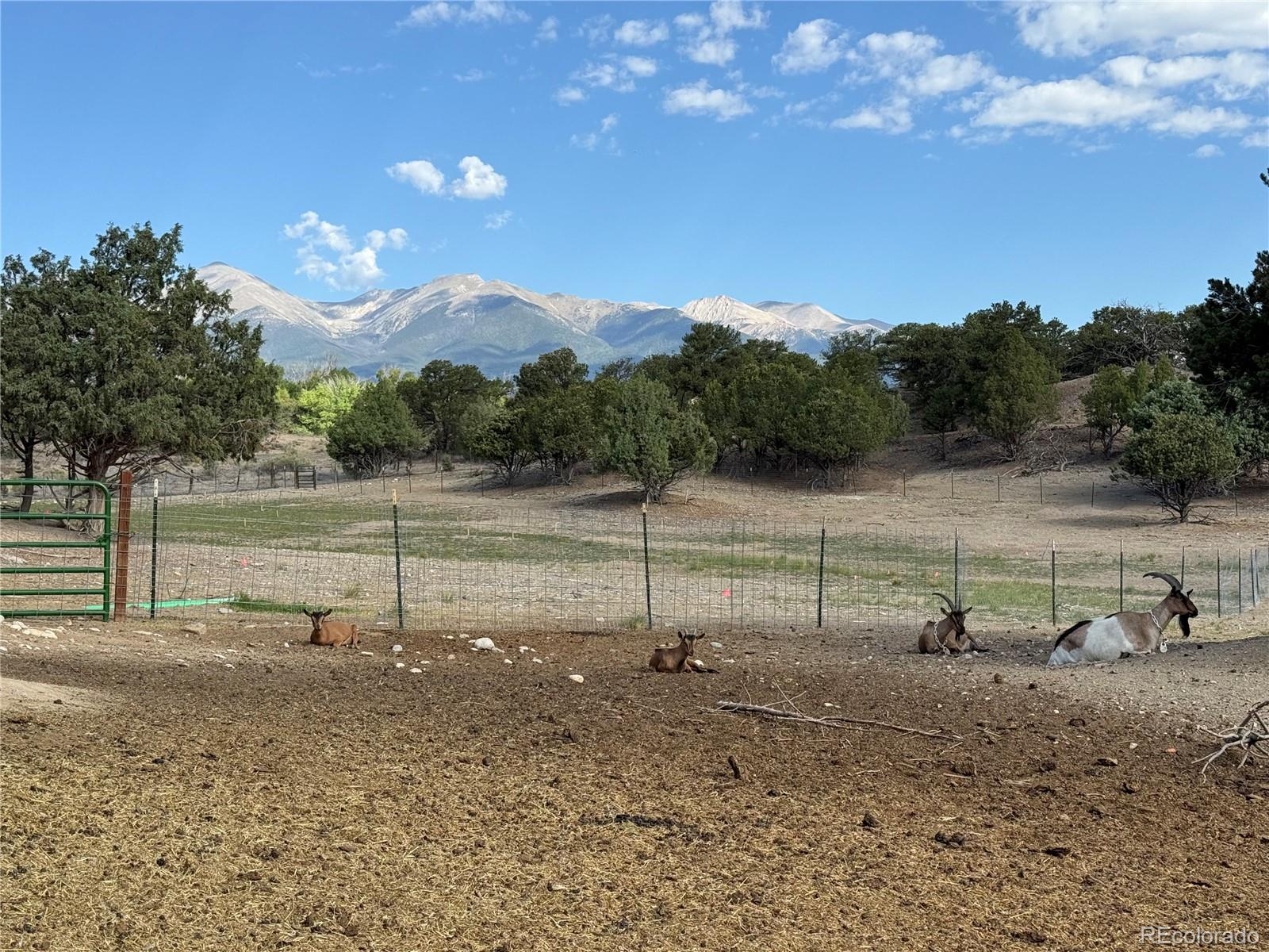 MLS Image #27 for 9582  us highway 285 ,salida, Colorado