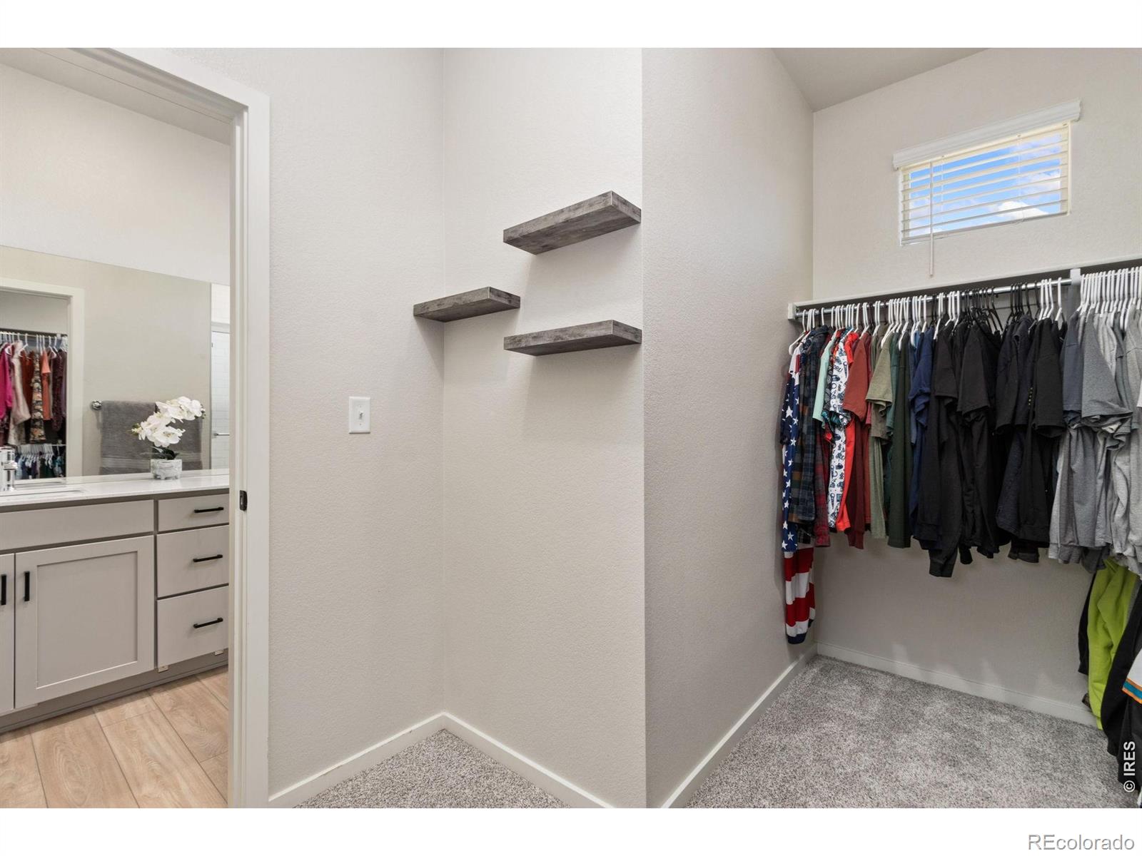 MLS Image #18 for 1805  bounty drive,windsor, Colorado