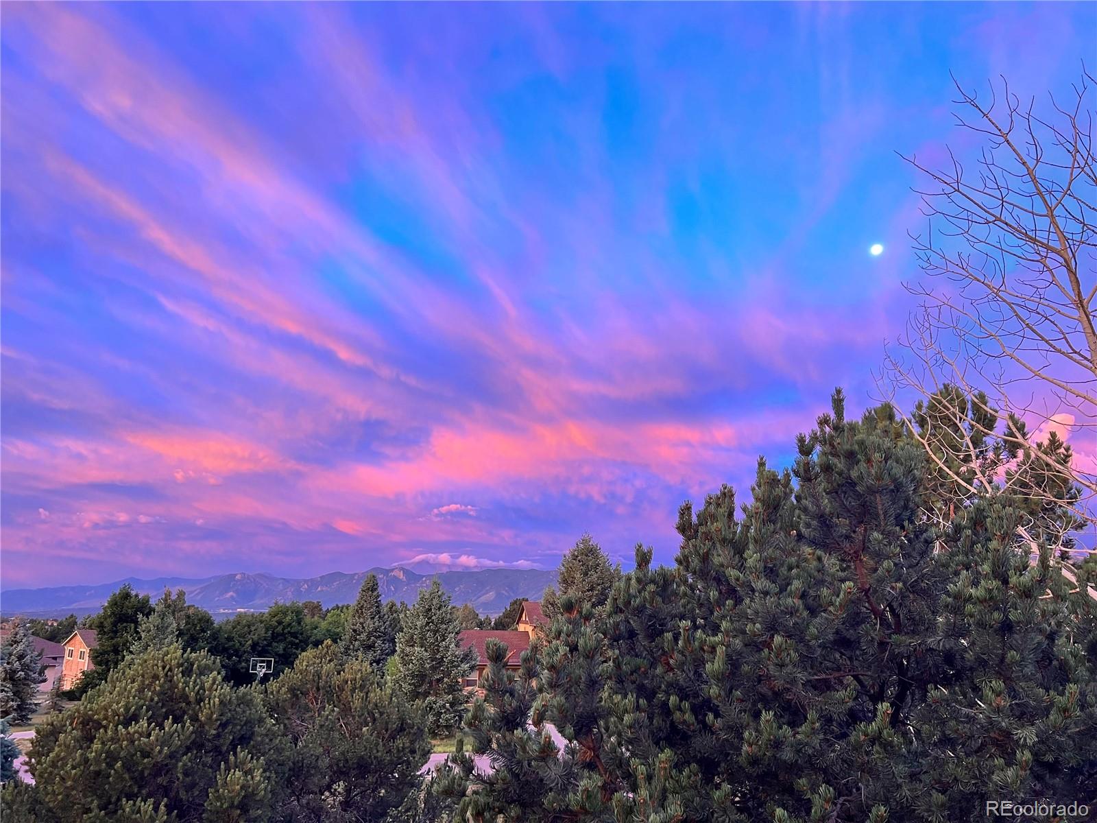 MLS Image #34 for 830  lake woodmoor ,monument, Colorado
