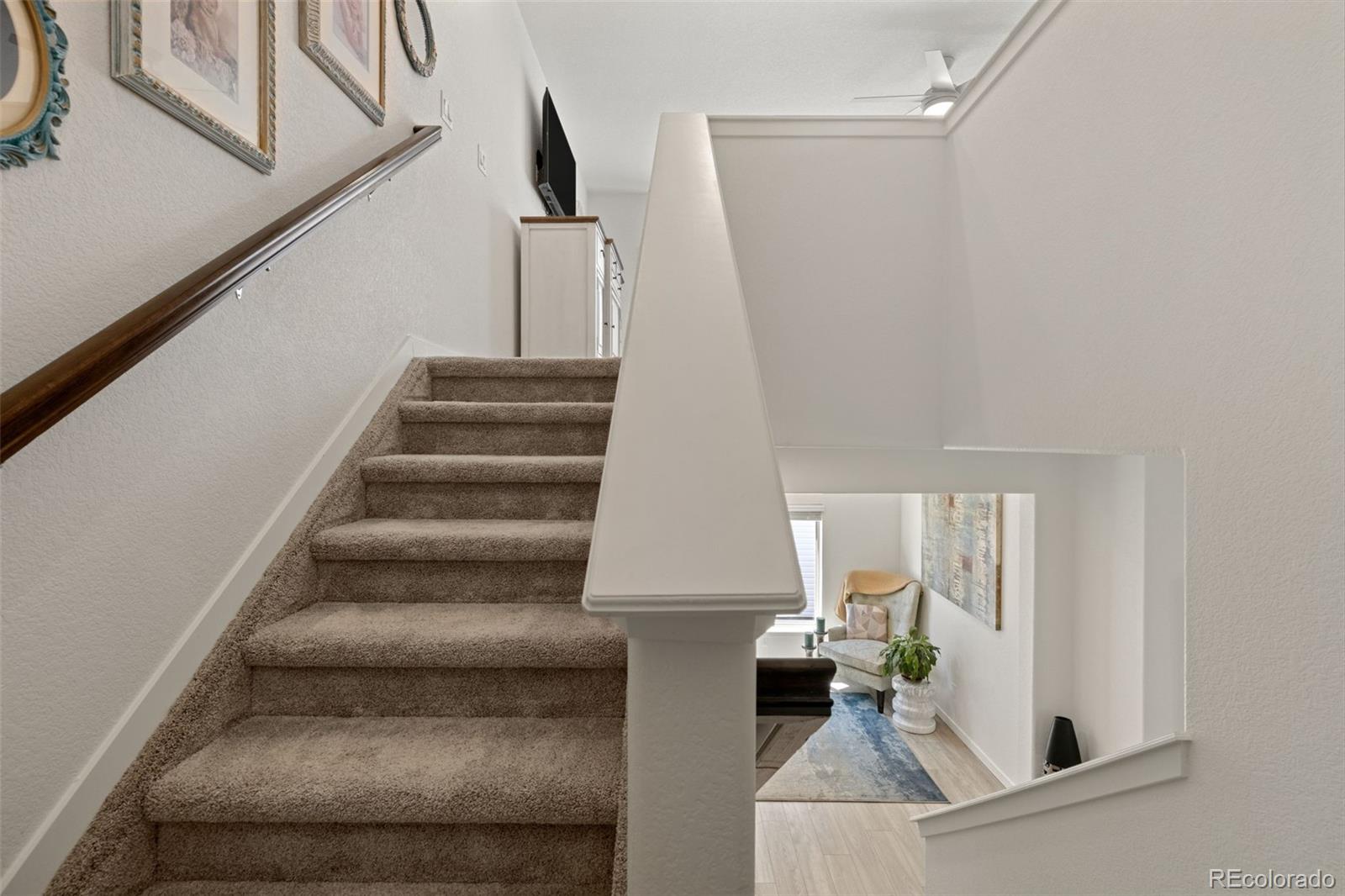 MLS Image #30 for 6364  melvick point,colorado springs, Colorado