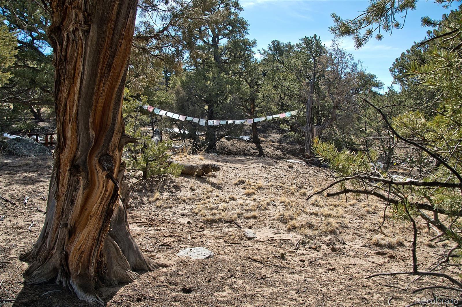 MLS Image #25 for 3519  forest trail ol ,crestone, Colorado